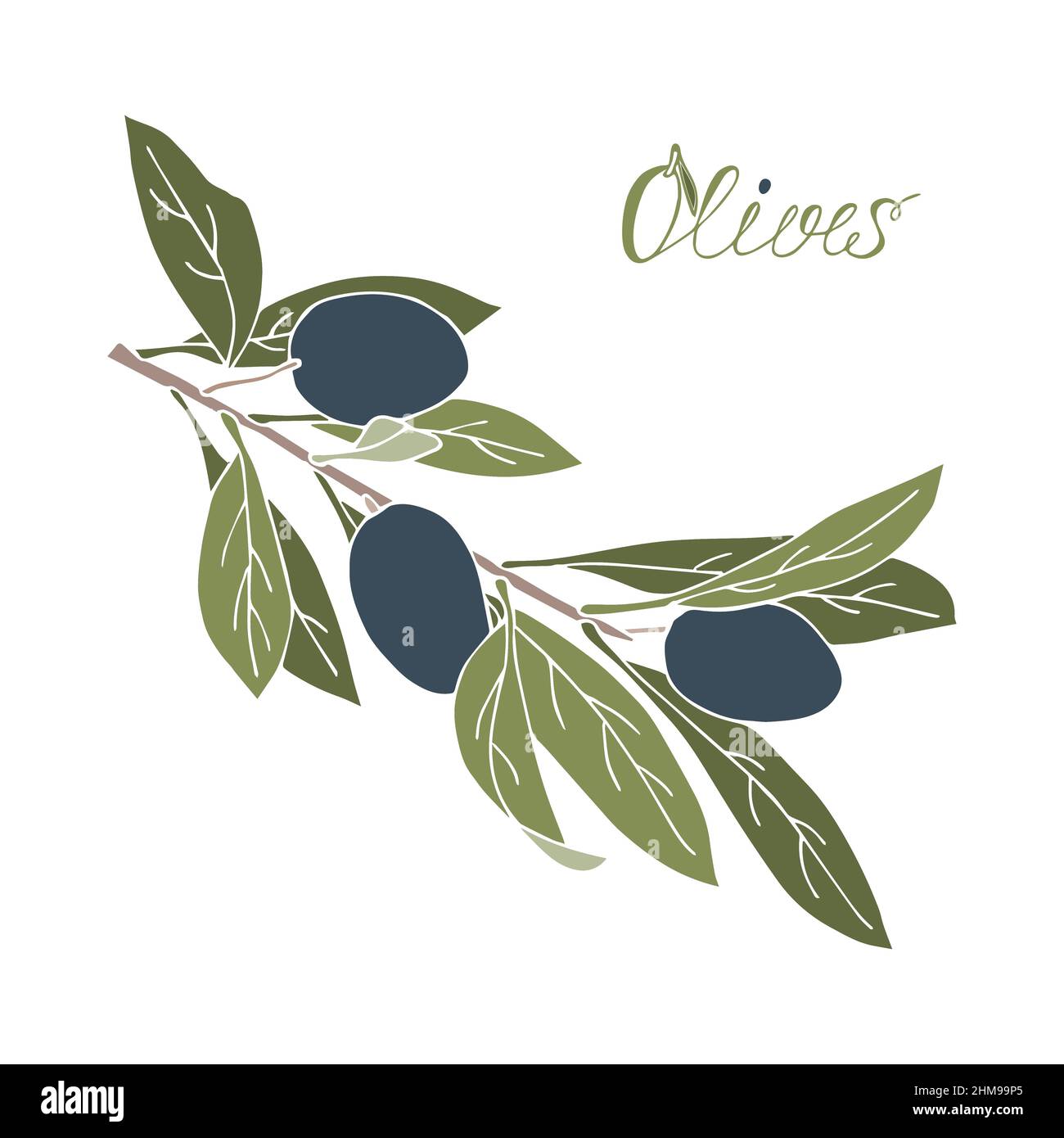 Olive branch hand drawn lettering doodle , no outline, boho style ...