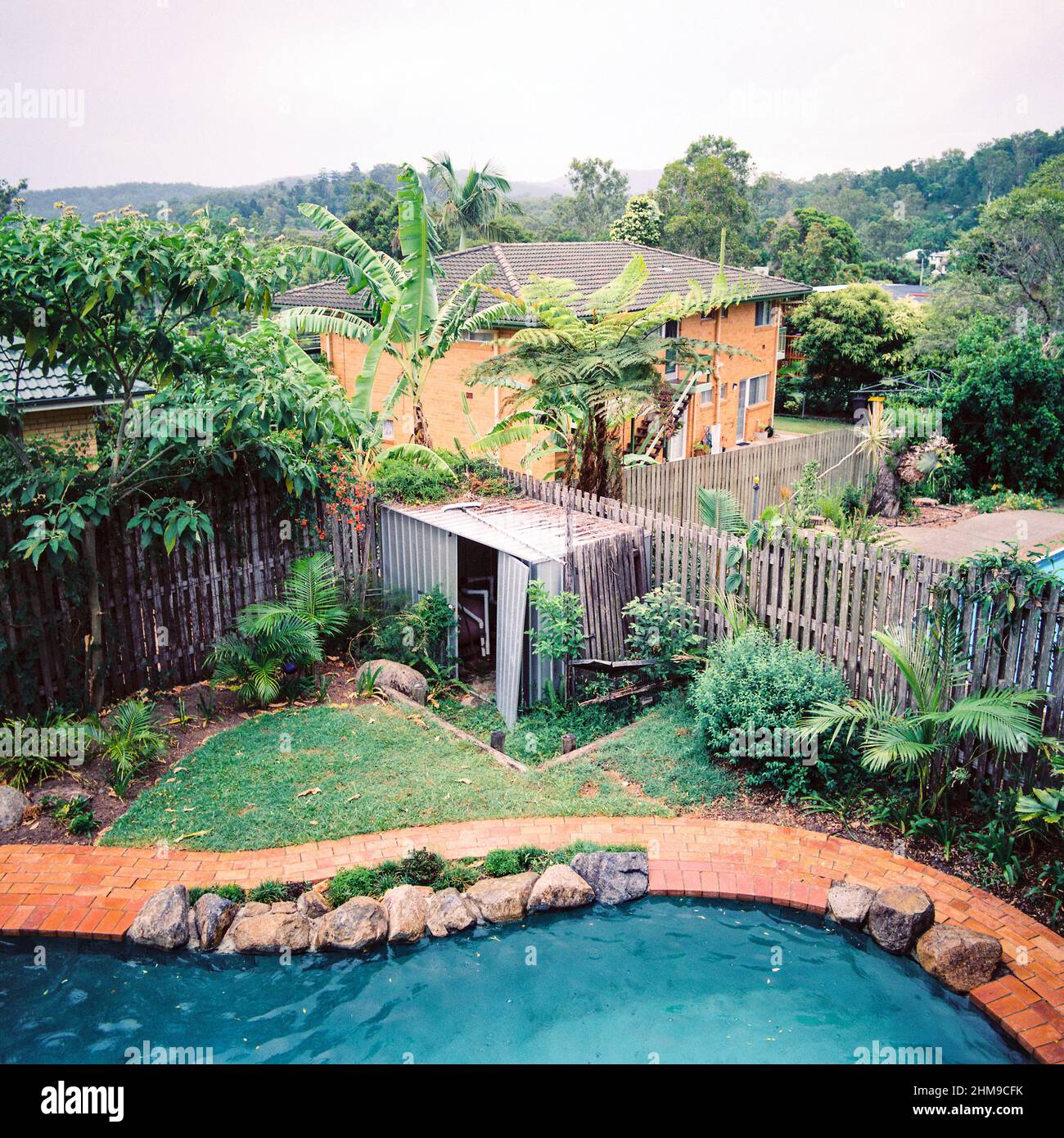 Pool and back garden, Brisbane, Queensland, Australia. Stock Photo