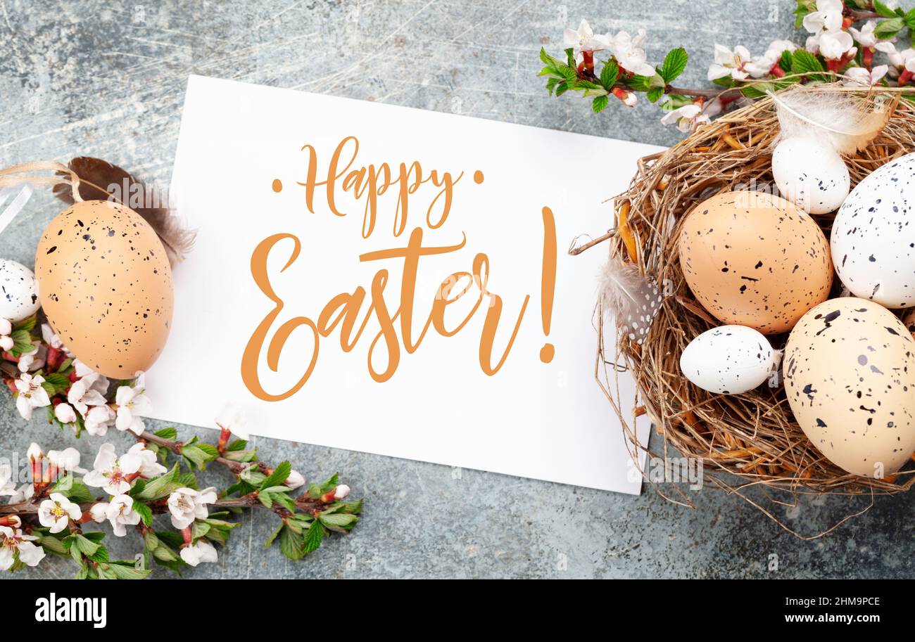 Easter eggs in nest and cherry blossom. Spring greeting card with copy ...