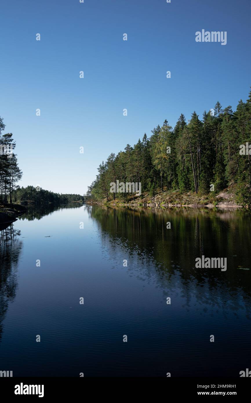 Vertical shot of a river on a sunny day Stock Photo - Alamy