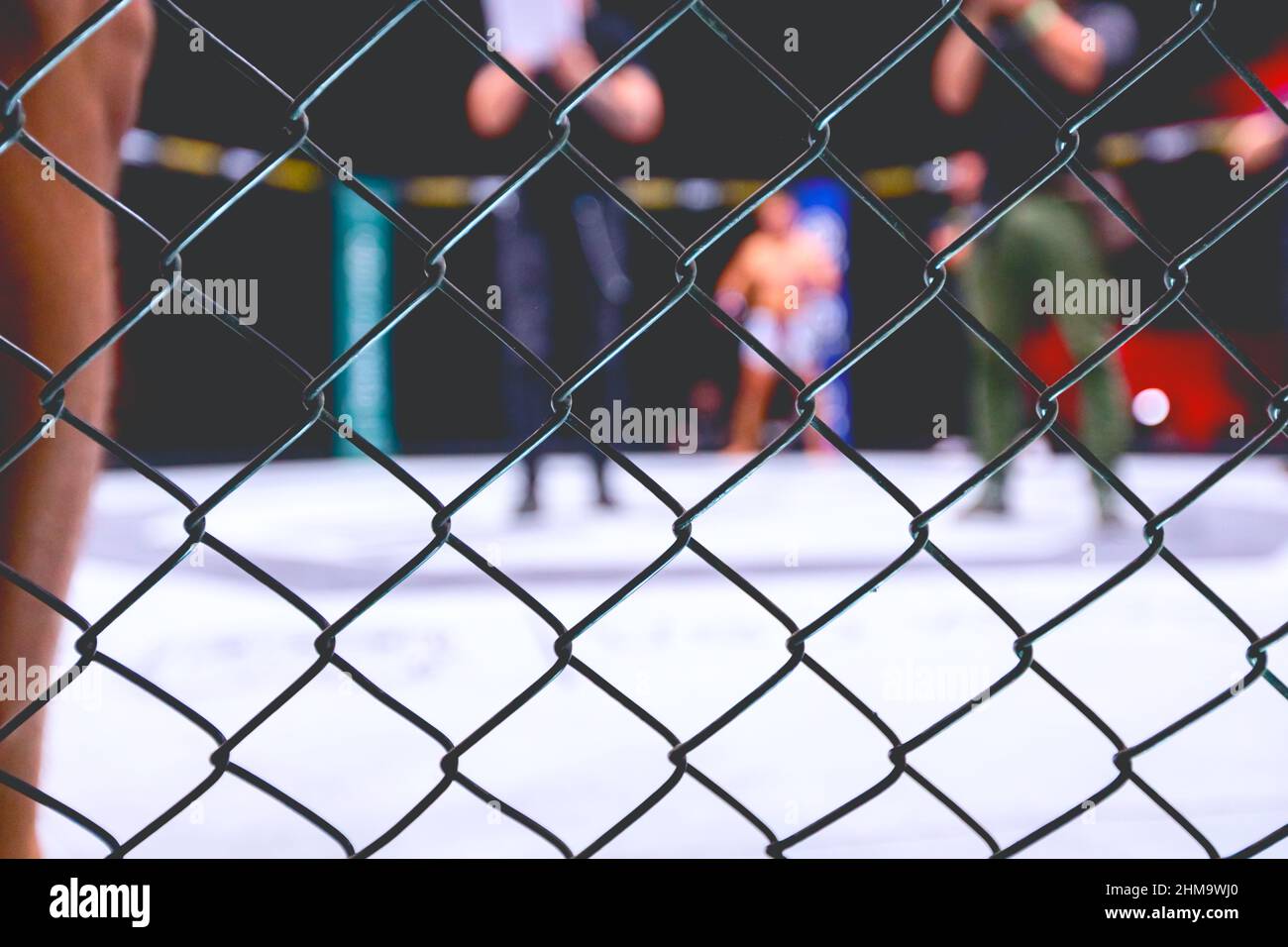 Ufc Cage Fence