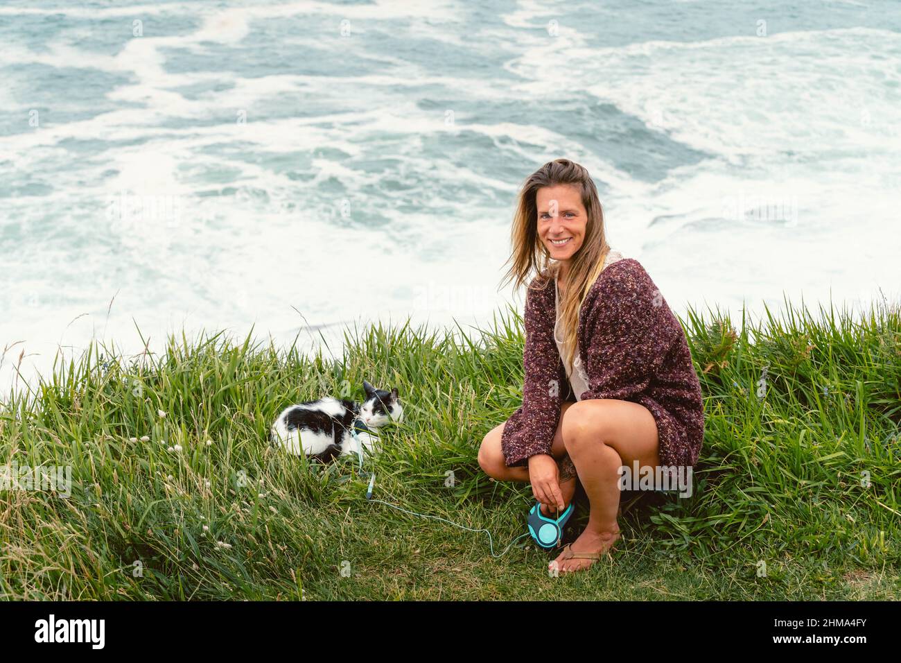 Domestic cat sitting on haunches hires stock photography and images