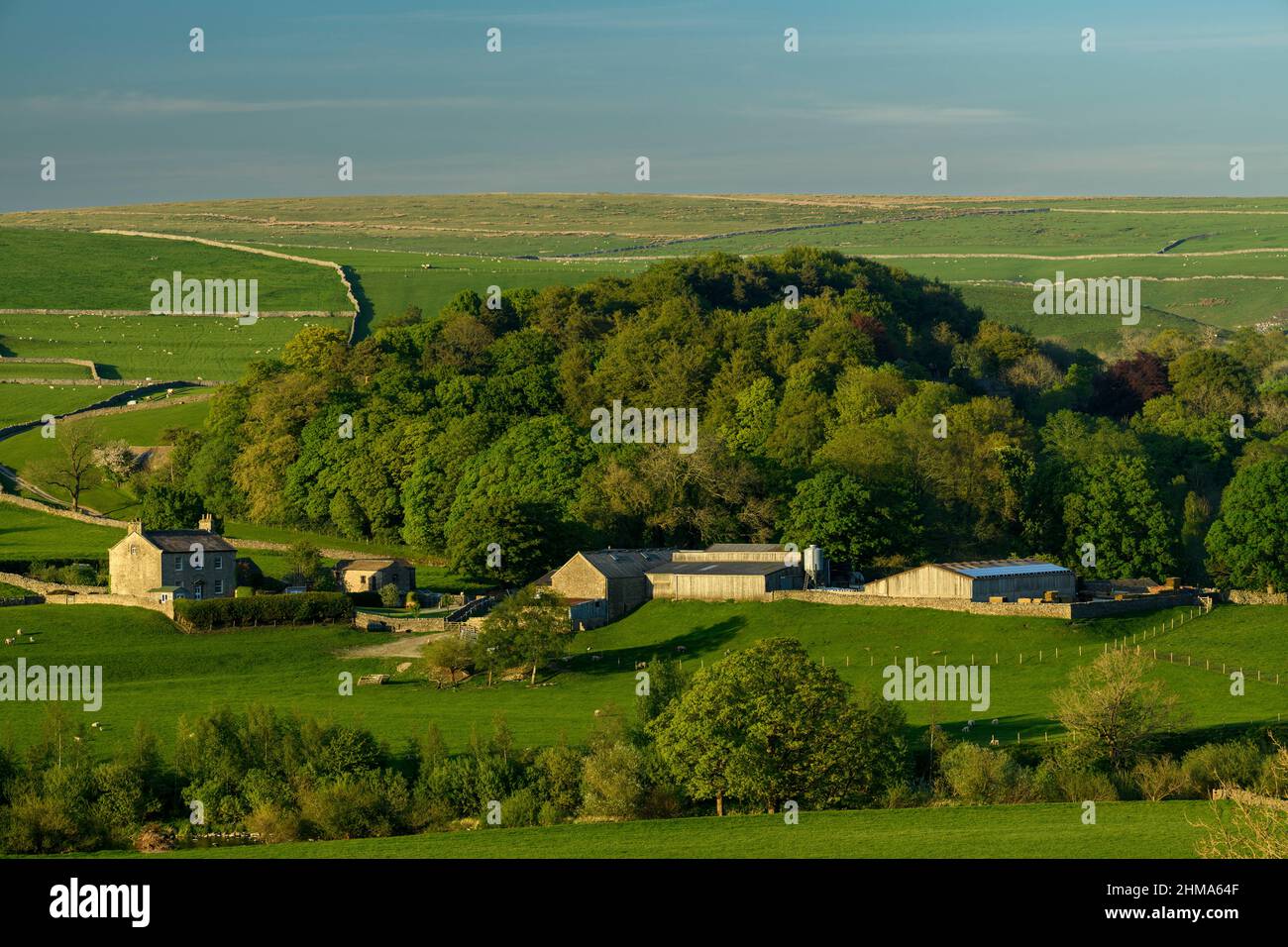 Old farmhouse & outbuildings in picturesque Yorkshire Dales countryside (rolling hills, sheep in fields, dry-stone walls) - Burnsall, England UK. Stock Photo