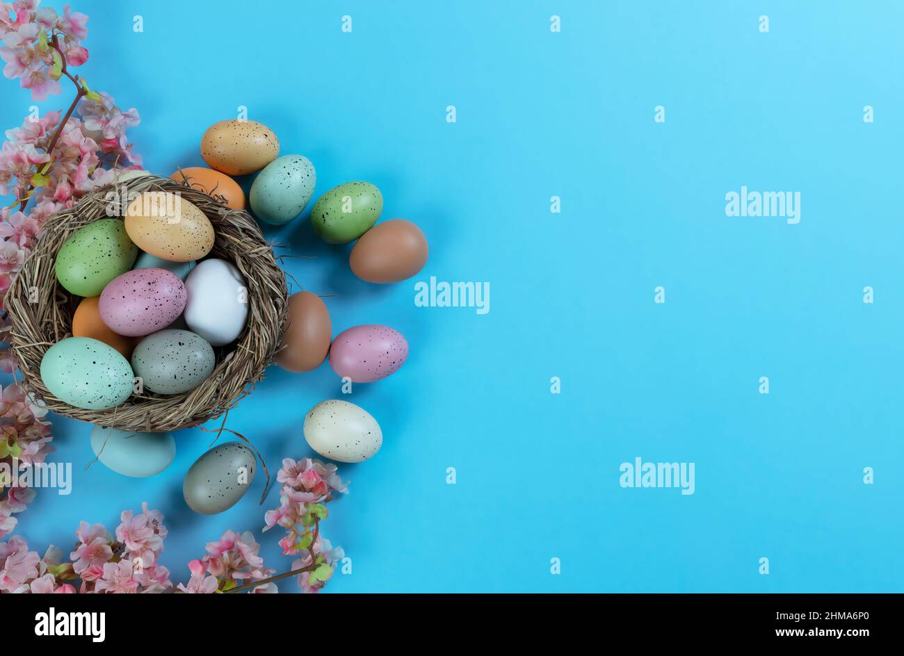 Colorful Easter eggs, artificial cherry blossoms and bird nest on a sky ...