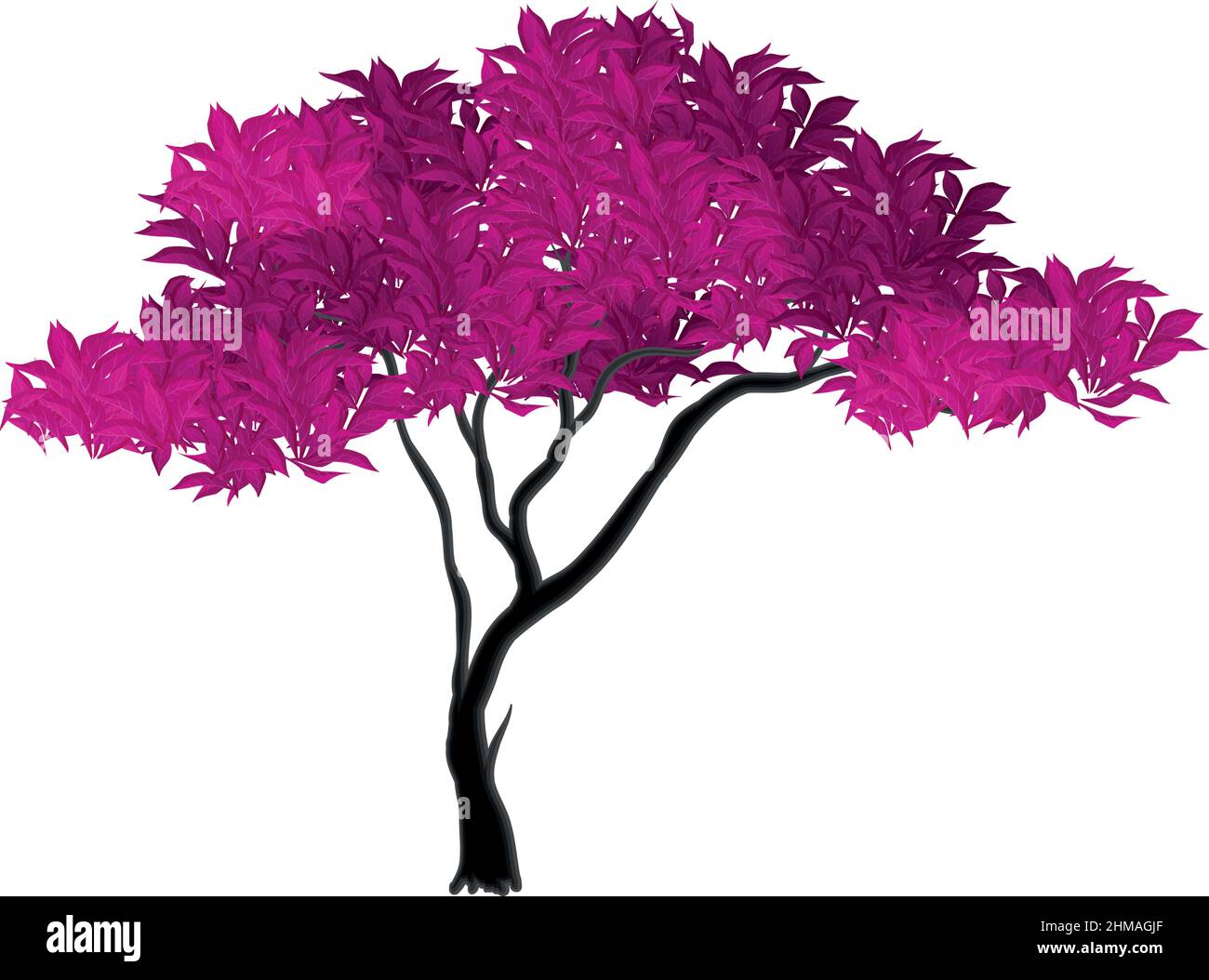 Realistic green sprawling tree isolated on white background - Vector ...