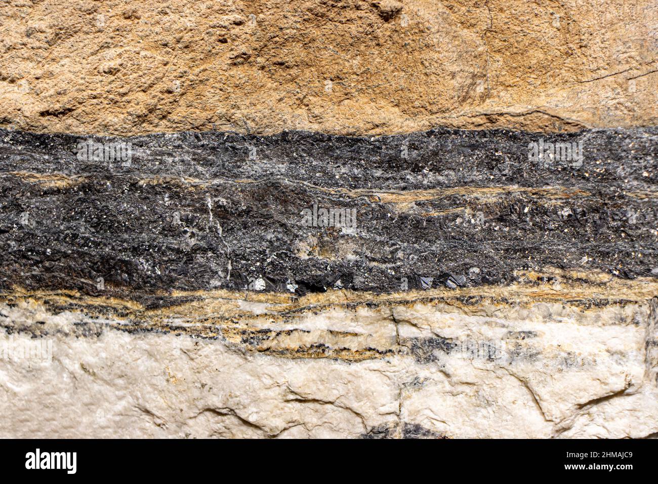 Galenite mineral in geological layers, cross section of rock. Stock Photo