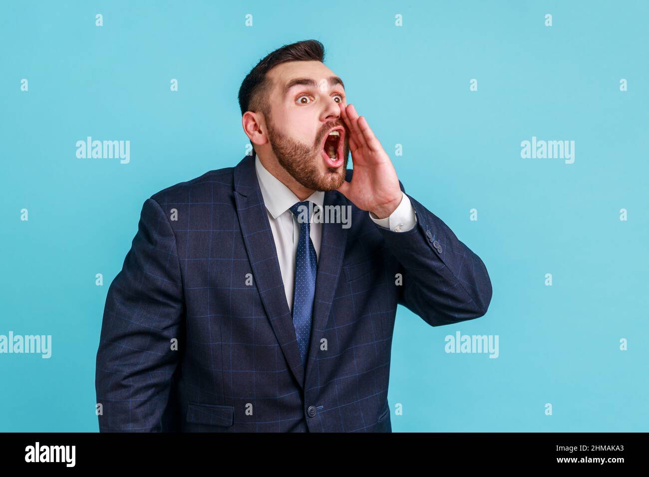 Profile portrait of handsome crazy businessman with beard wearing official style suit loudly screaming holding hand near widely opened mouth. Indoor studio shot isolated on blue background. Stock Photo