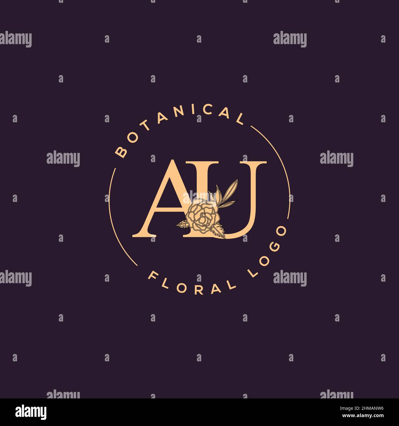 Initial AU letter luxury beauty flourishes ornament monogram logo Stock Vector