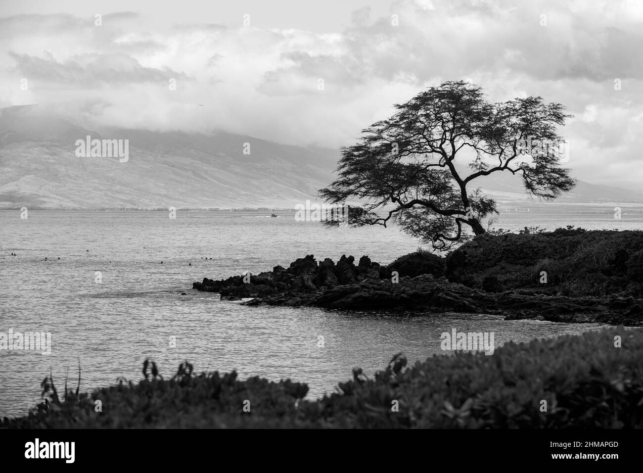 Panoramic view hawaii Black and White Stock Photos & Images - Alamy