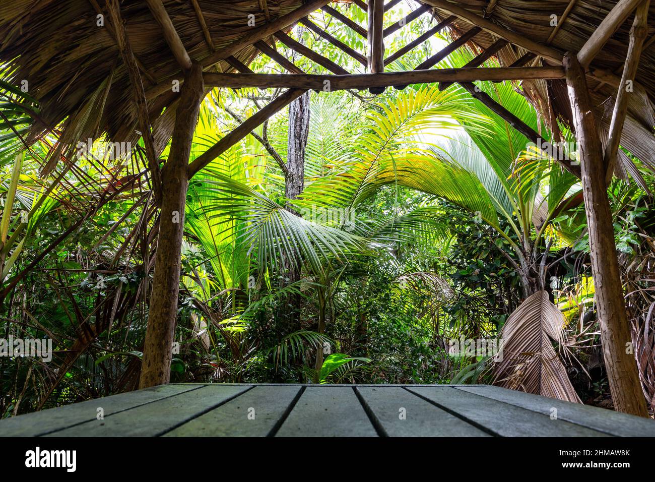 Wooden shelter with thatched roof made of palm leaves in tropical rainforest on Glacis Noire Nature Trail, Praslin Island, Seychelles. Stock Photo
