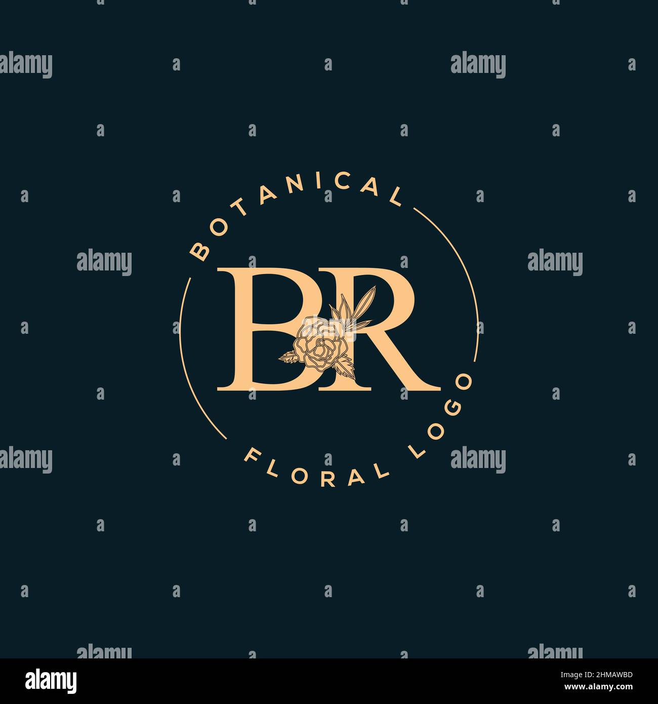 Initial BR letter luxury beauty flourishes ornament monogram logo Stock ...
