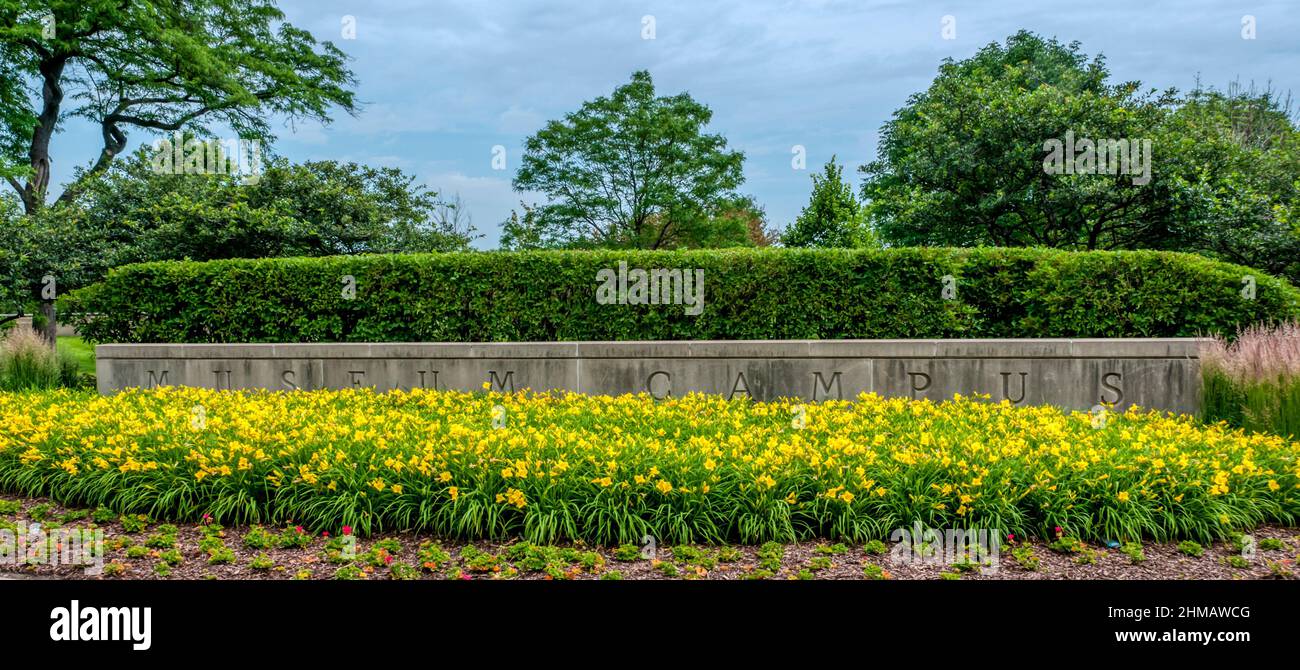 Carved stone Museum Campus sign behind a bed of daffodils in Grant Park, Chicago. Stock Photo