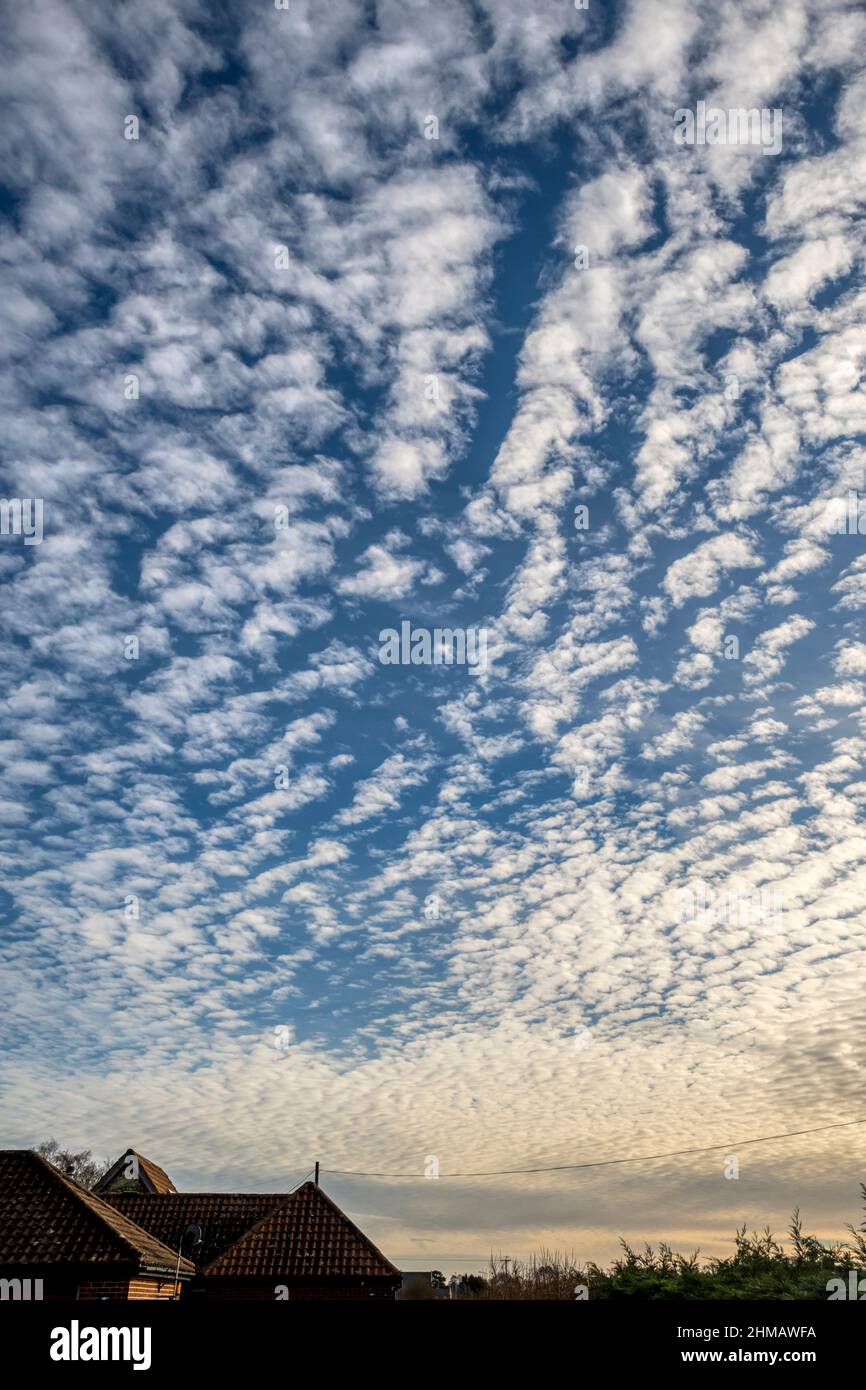 A mackerel sky over Norfolk on a fine winter's day in February Stock