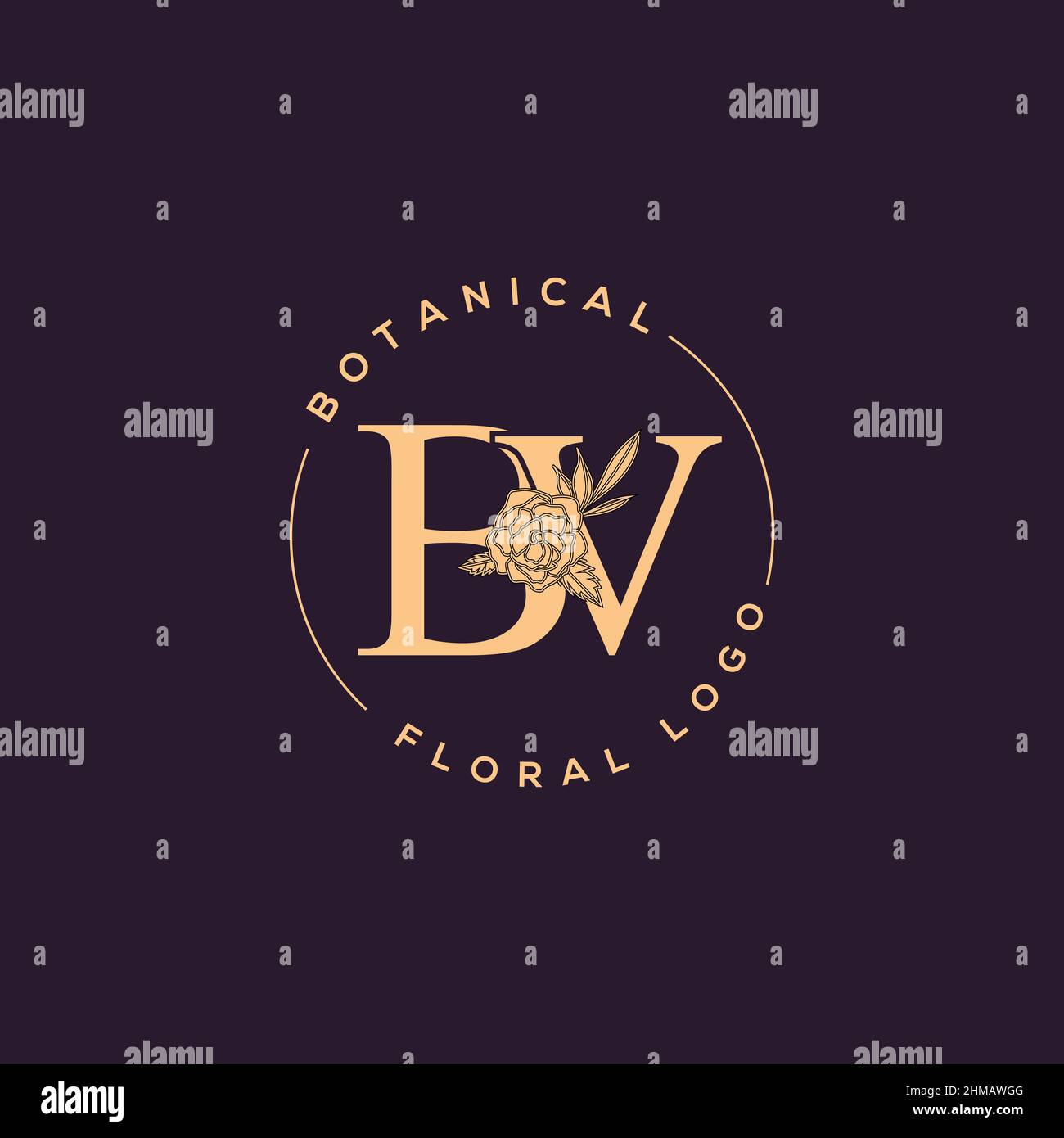 Initial BV letter luxury beauty flourishes ornament monogram logo Stock ...