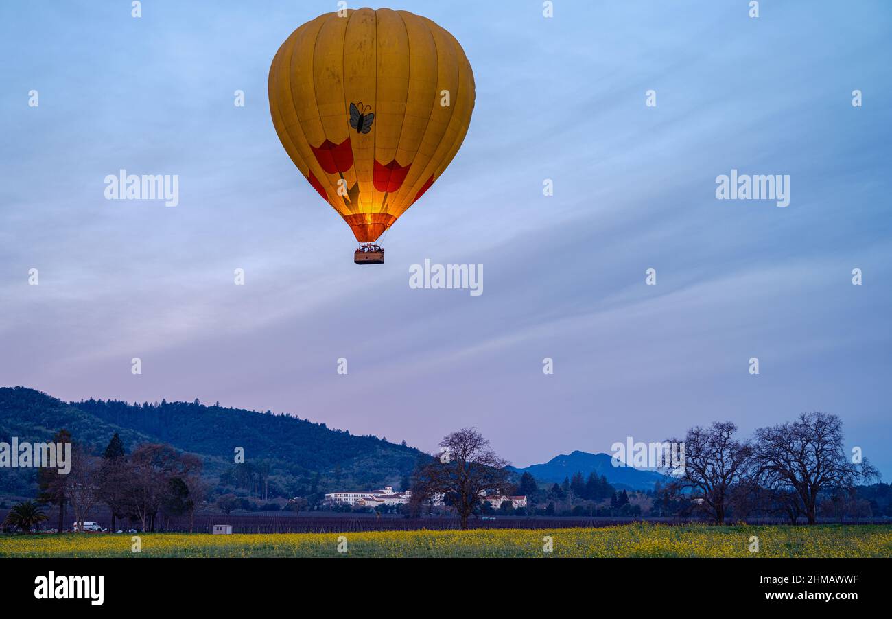Early Morning Hot Air Balloon Journey Across  Napa Valley, California Stock Photo