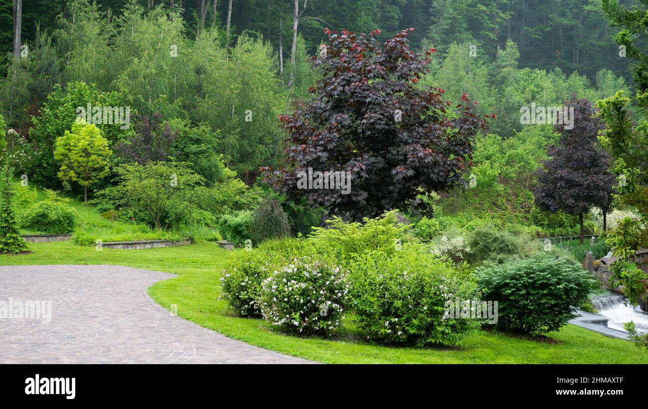 Landscape design. Trees, bushes, green lawns. Beautiful park near the green forest Stock Photo