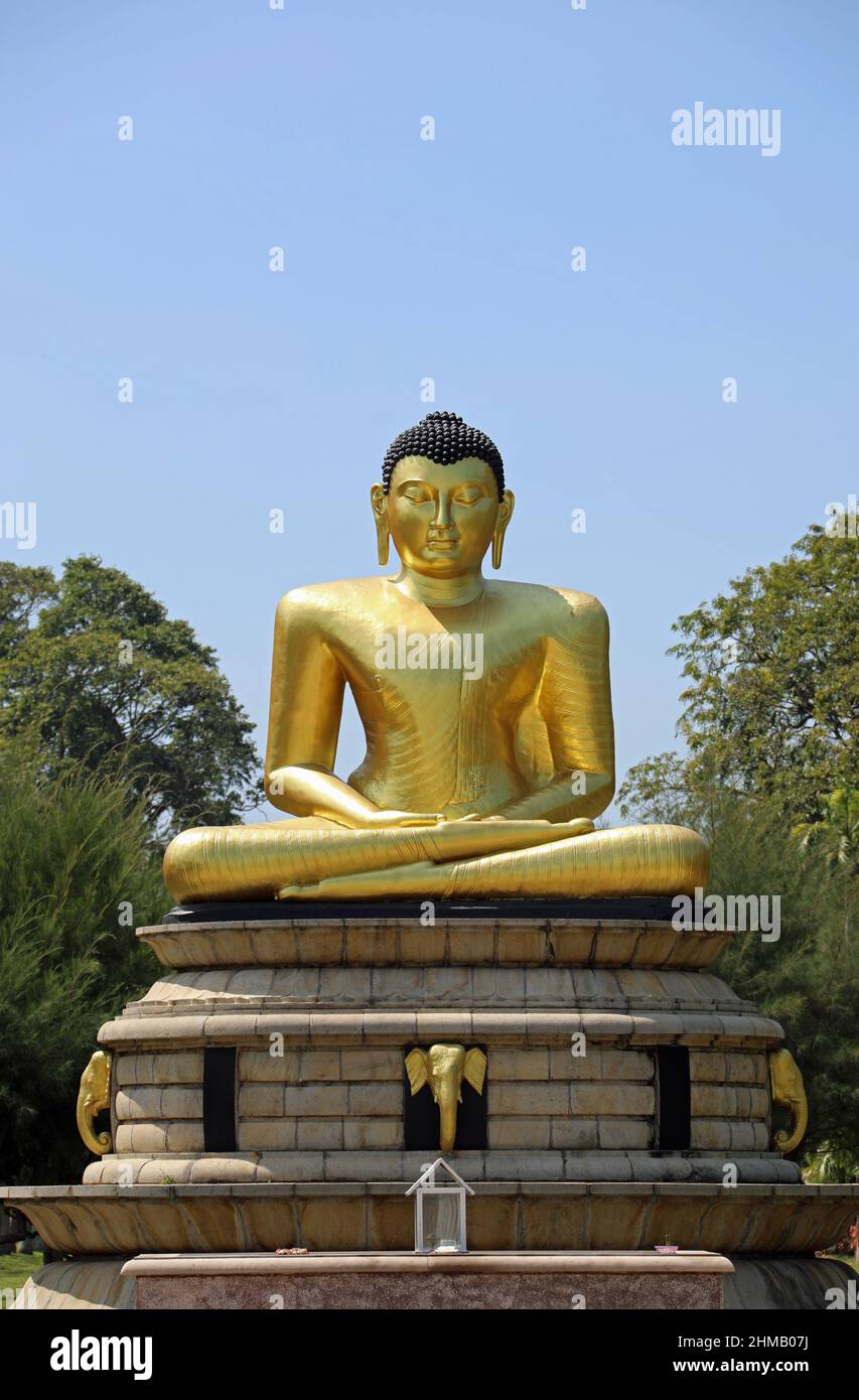 Golden Buddha at Viharamahadevi Park in Sri Lanka Stock Photo