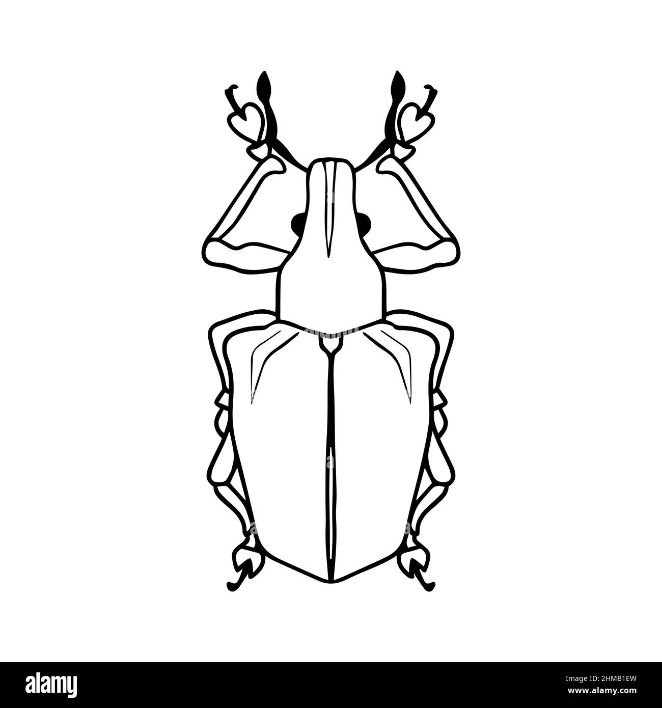 Isolated contour drawing of a beetle on a white background. Doodle style. A design element. Stock Vector