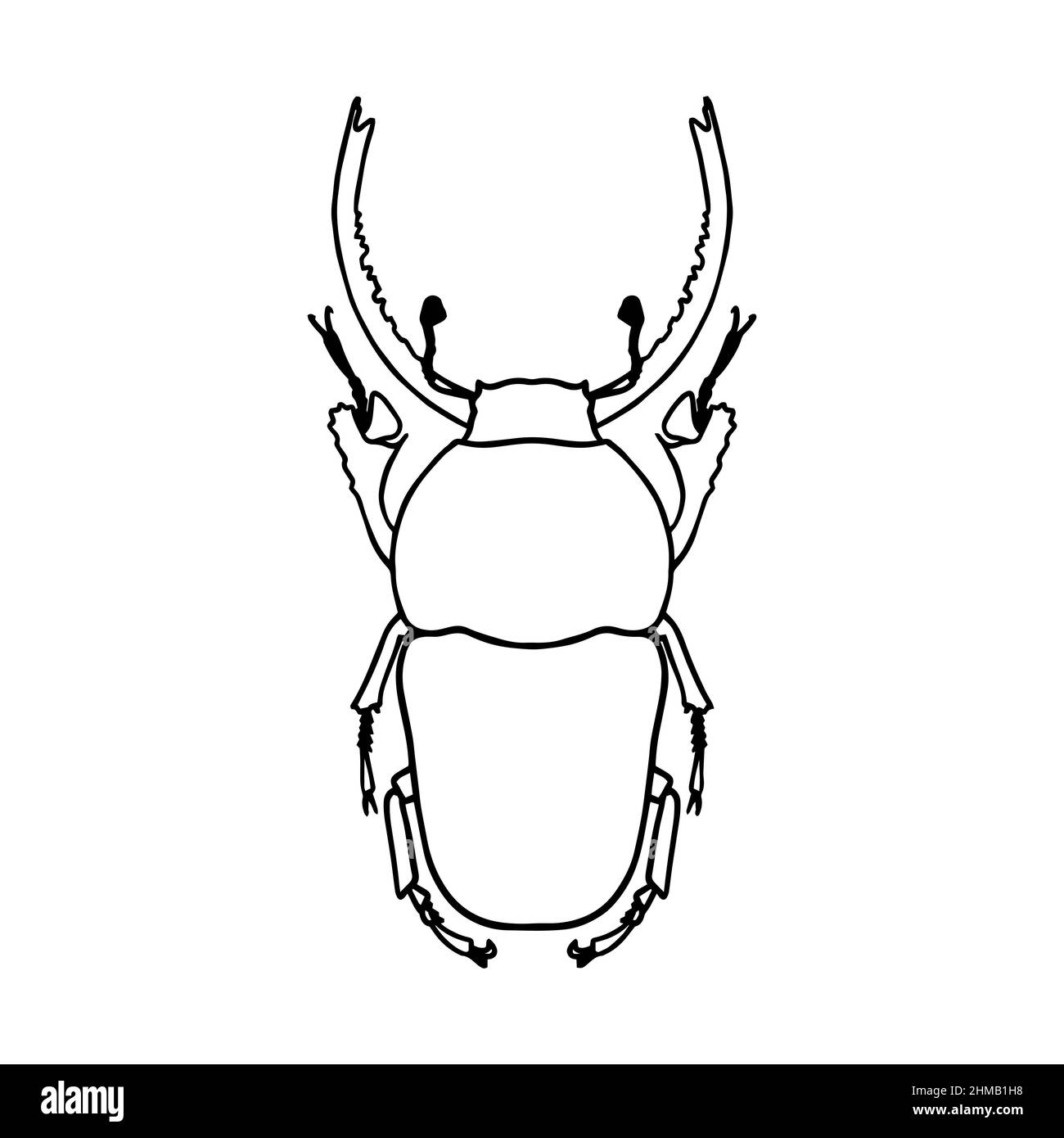 Isolated contour drawing of a beetle on a white background. Doodle style. A design element. Stock Vector