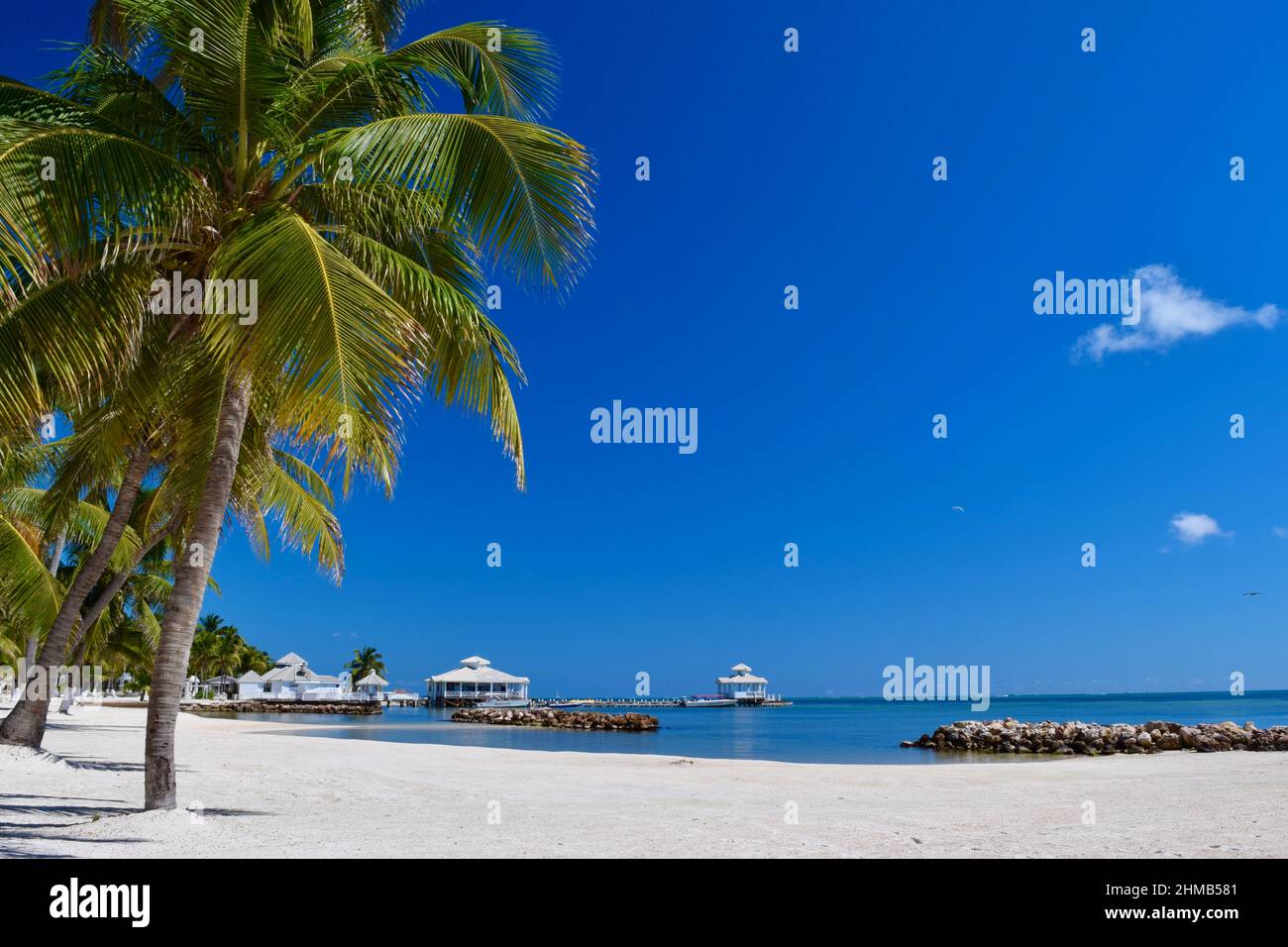 A gorgeous day at the beach with 0 people, palm trees, white sand, a bay, pier, and buildings over the water on San Pedro, Belize. Stock Photo