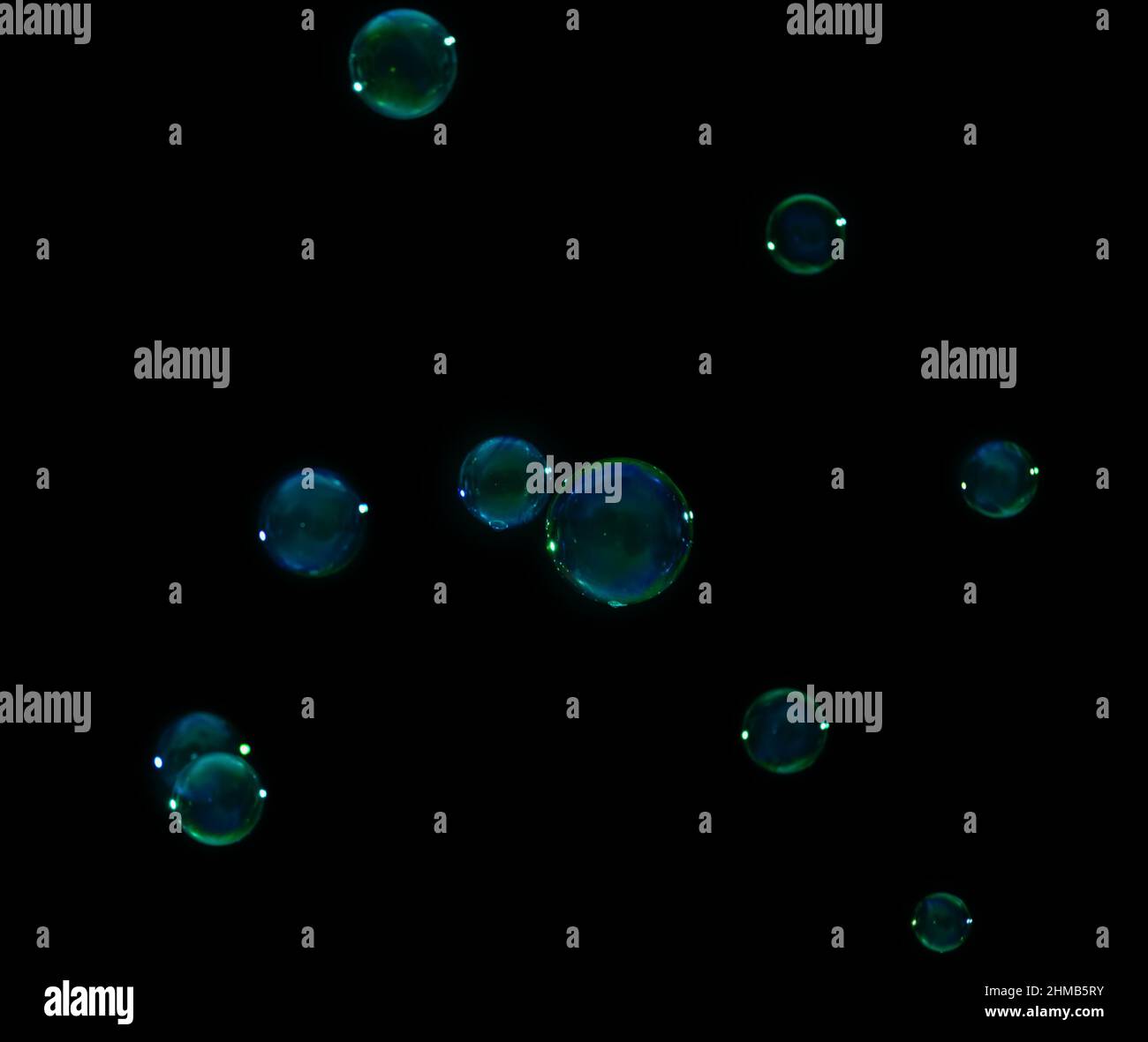 Many beautiful soap bubbles on dark background Stock Photo