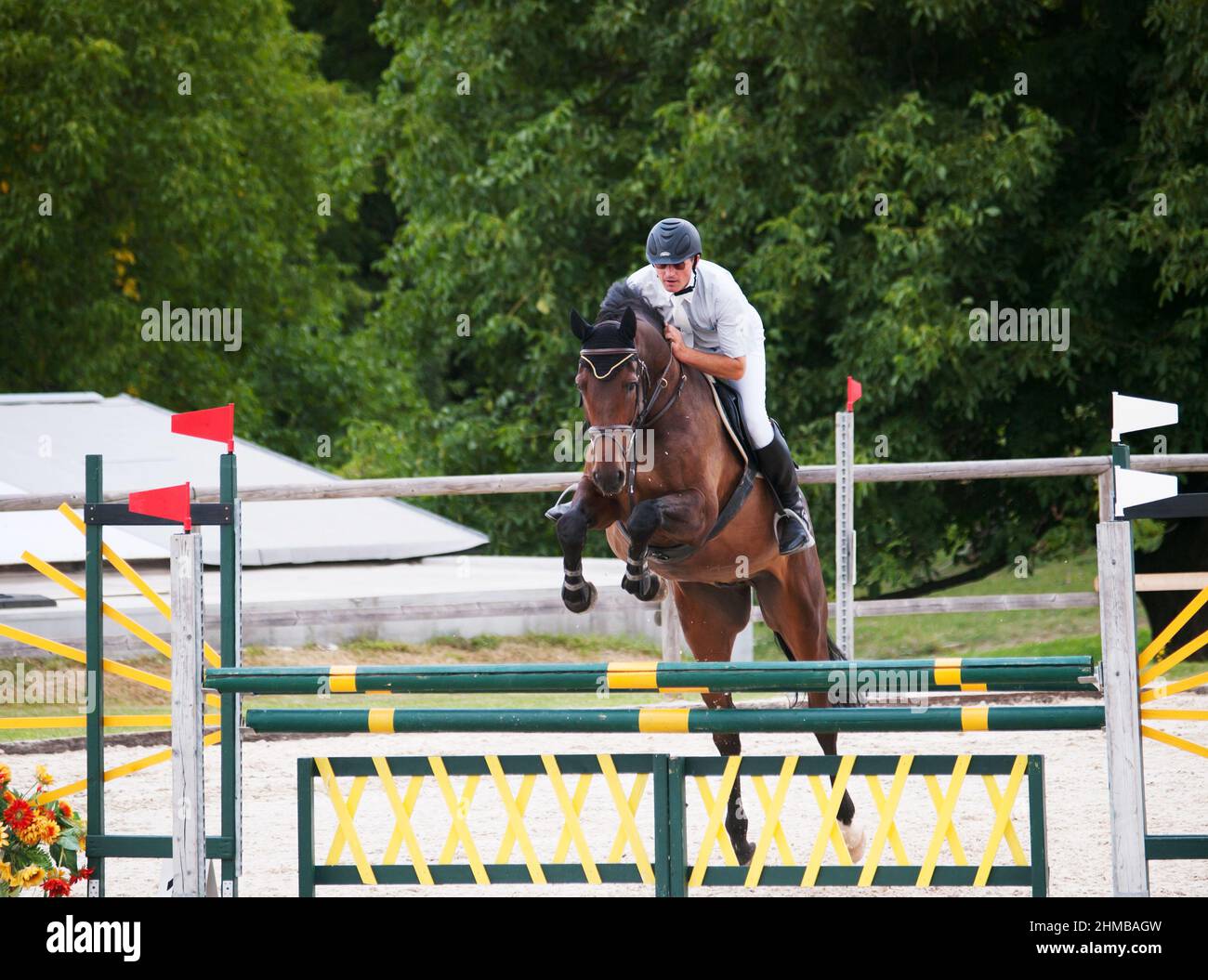 Horse with rider jump over the hurdle during competition Stock Photo ...