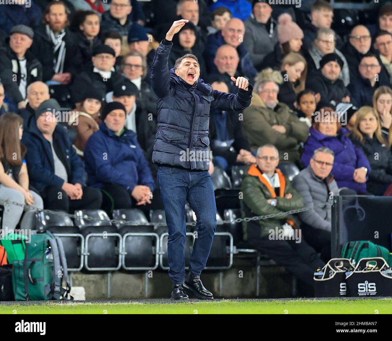 Shota Arveladze the Hull City manager on the sidelines during the game Stock Photo