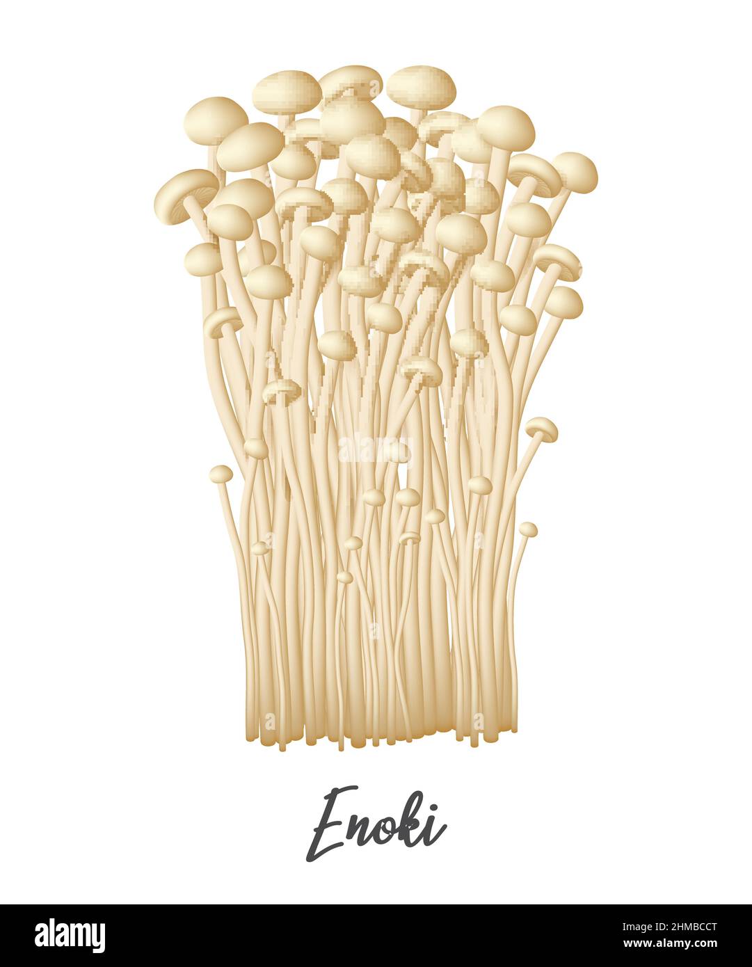 Enoki Mushroom on white background, natural food ingredient, realistic vector illustration close-up Stock Vector