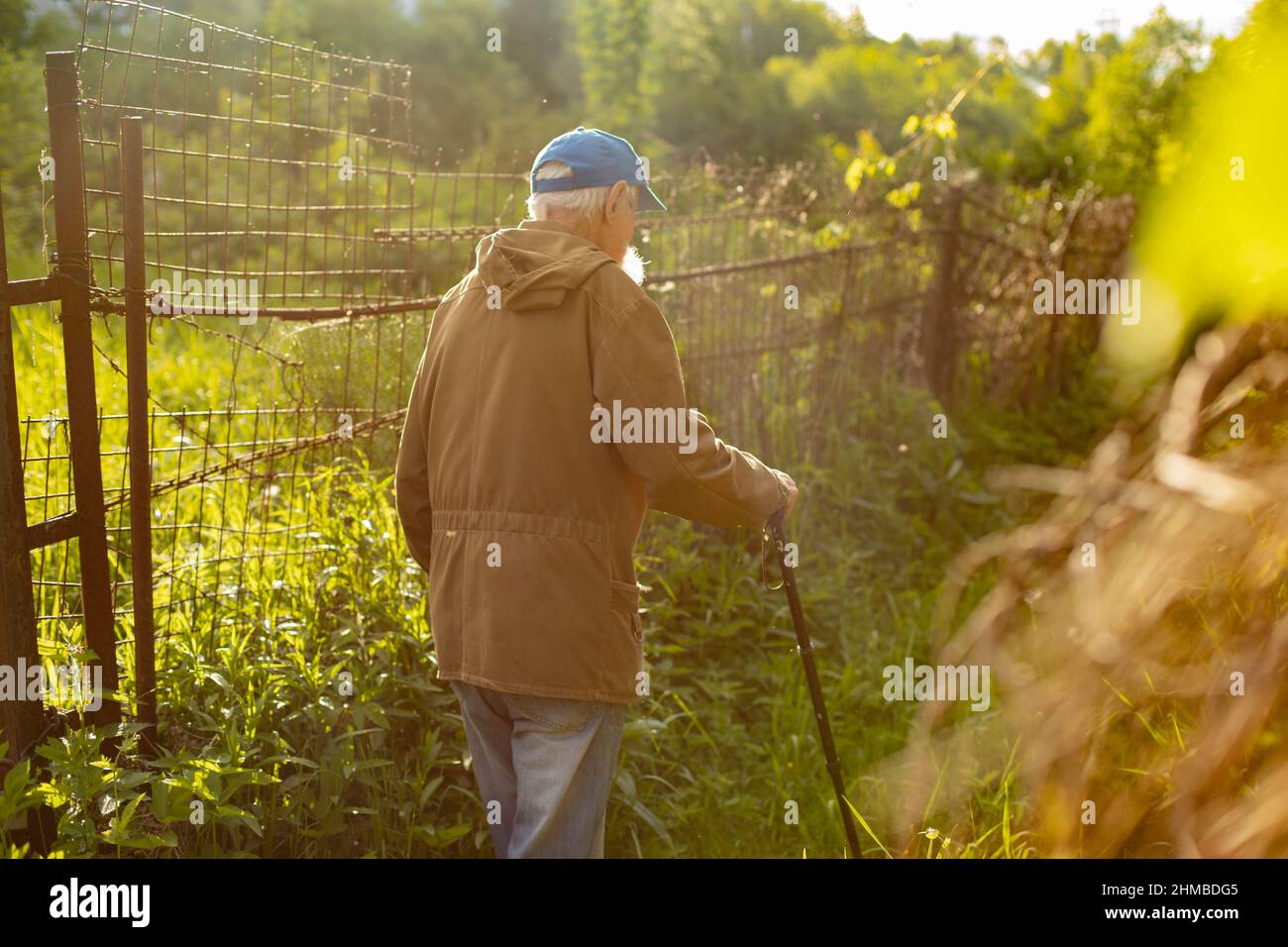 An old man with a walking stick. A Russian old man in the countryside ...