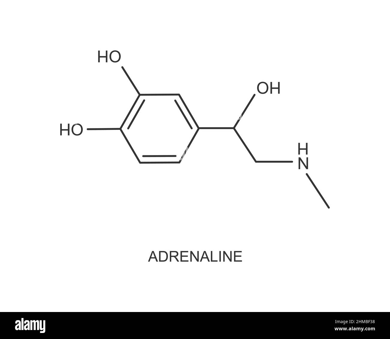 Adrenaline icon. Epinephrine hormone produced by the adrenal gland. Chemical molecular structure. Vector outline illustration. Stock Vector