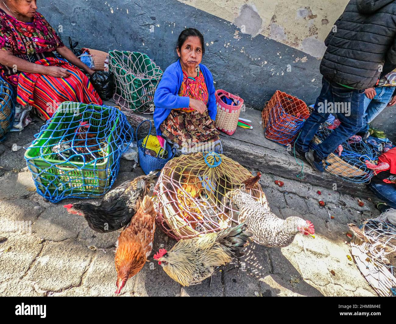 Chicken guatemala rooster hi-res stock photography and images - Alamy