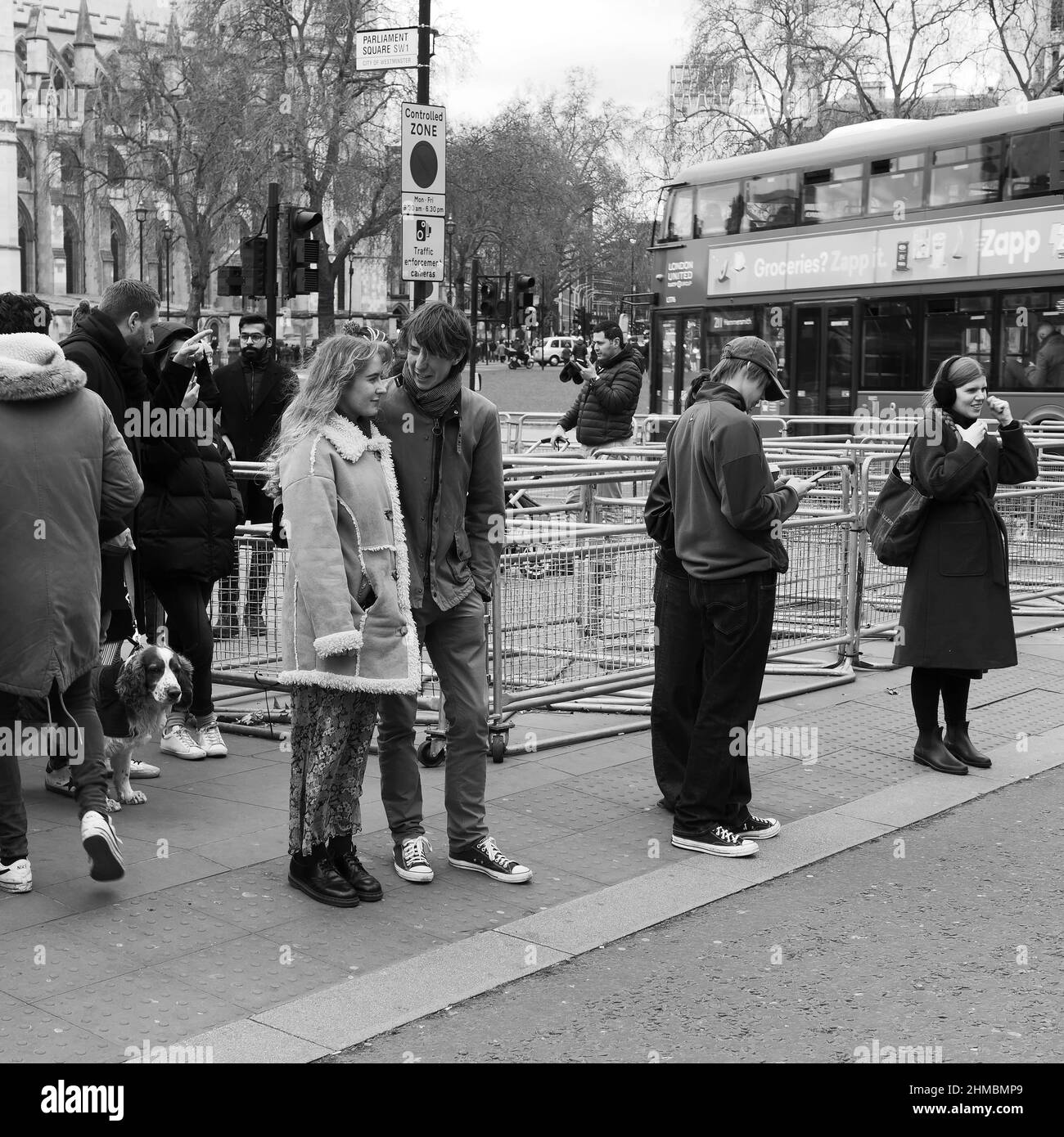 Pedestrians and a dog wait at a pedestrian crossing in Bridge Street Westminster in winter. Monochrome. London. Stock Photo