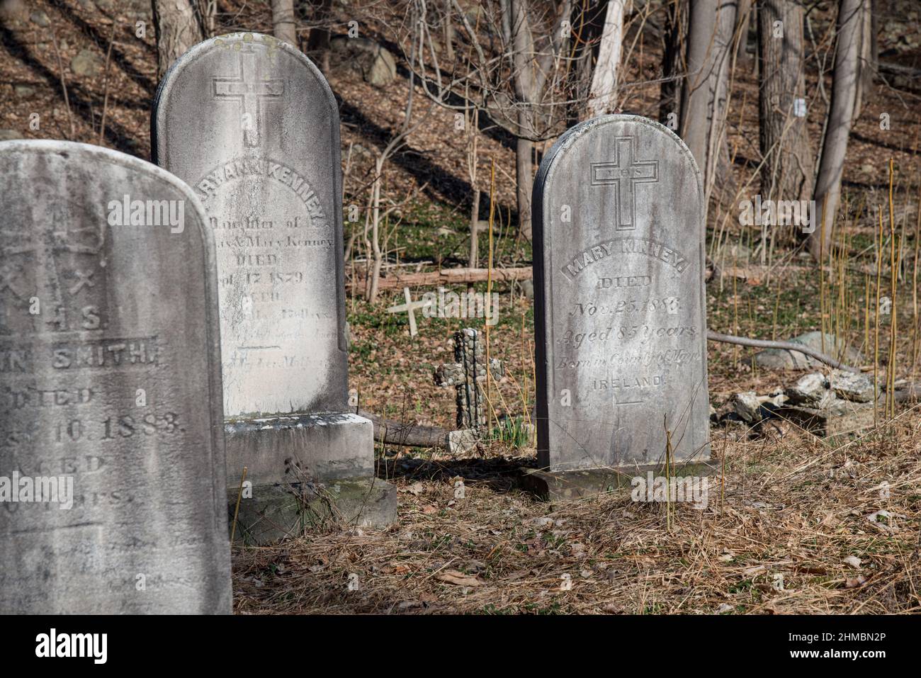 Old gravestones in cemetery Stock Photo Alamy