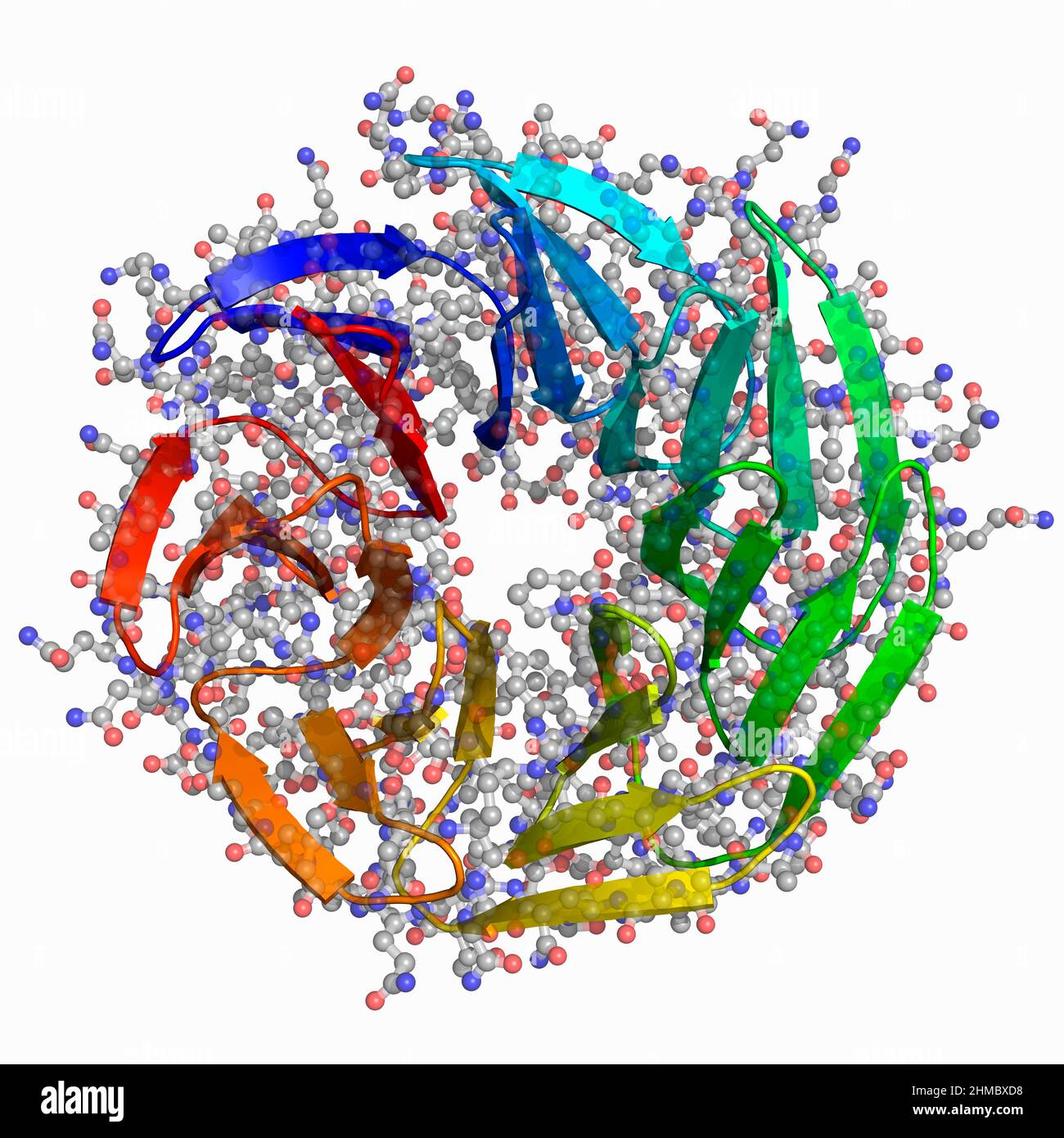 WRAPT 7bladed designer protein, molecular model Stock Photo Alamy