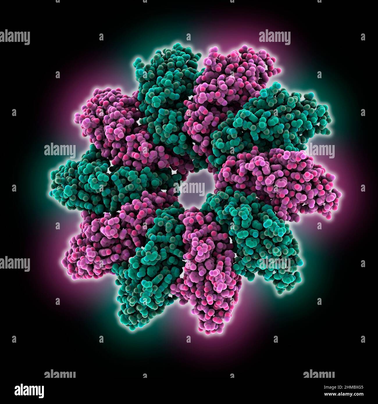 Yeast Seipin with locking helix detection, molecular model Stock Photo