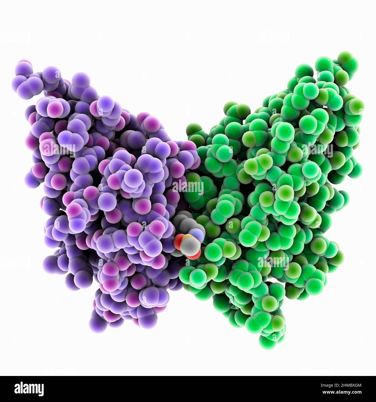 Programmed cell death ligand, molecular model Stock Photo Alamy