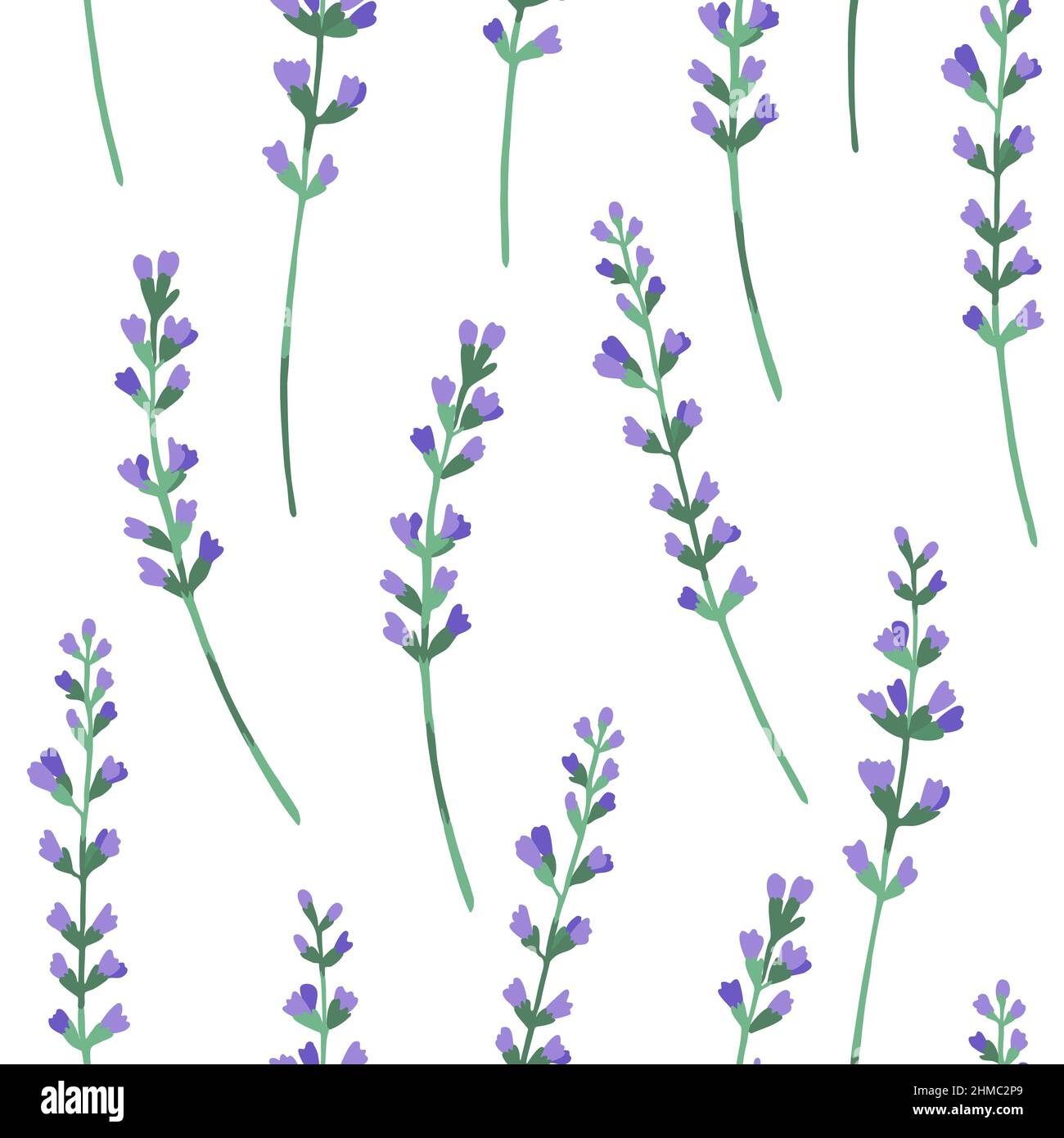 Therapeutic lavender Stock Vector Images - Alamy