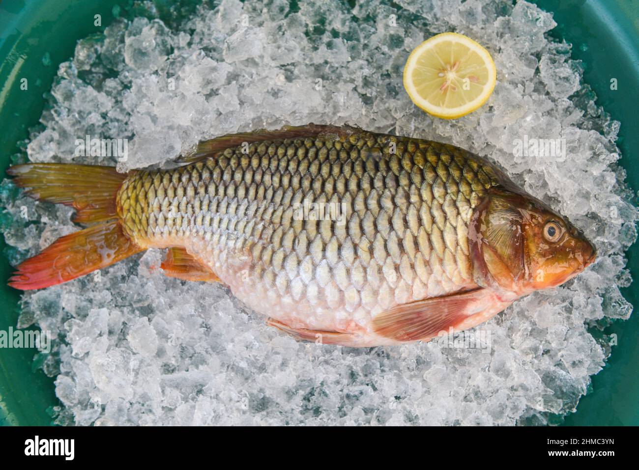 Carp fish, Fresh raw fish on ice for cooked food with lemon background