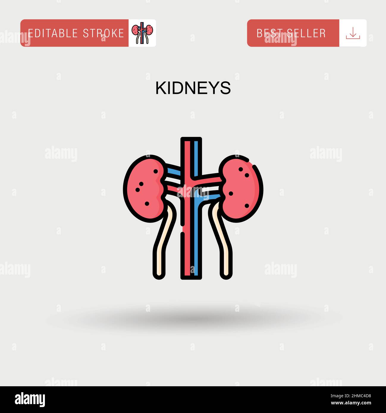 Kidneys Simple vector icon. Stock Vector
