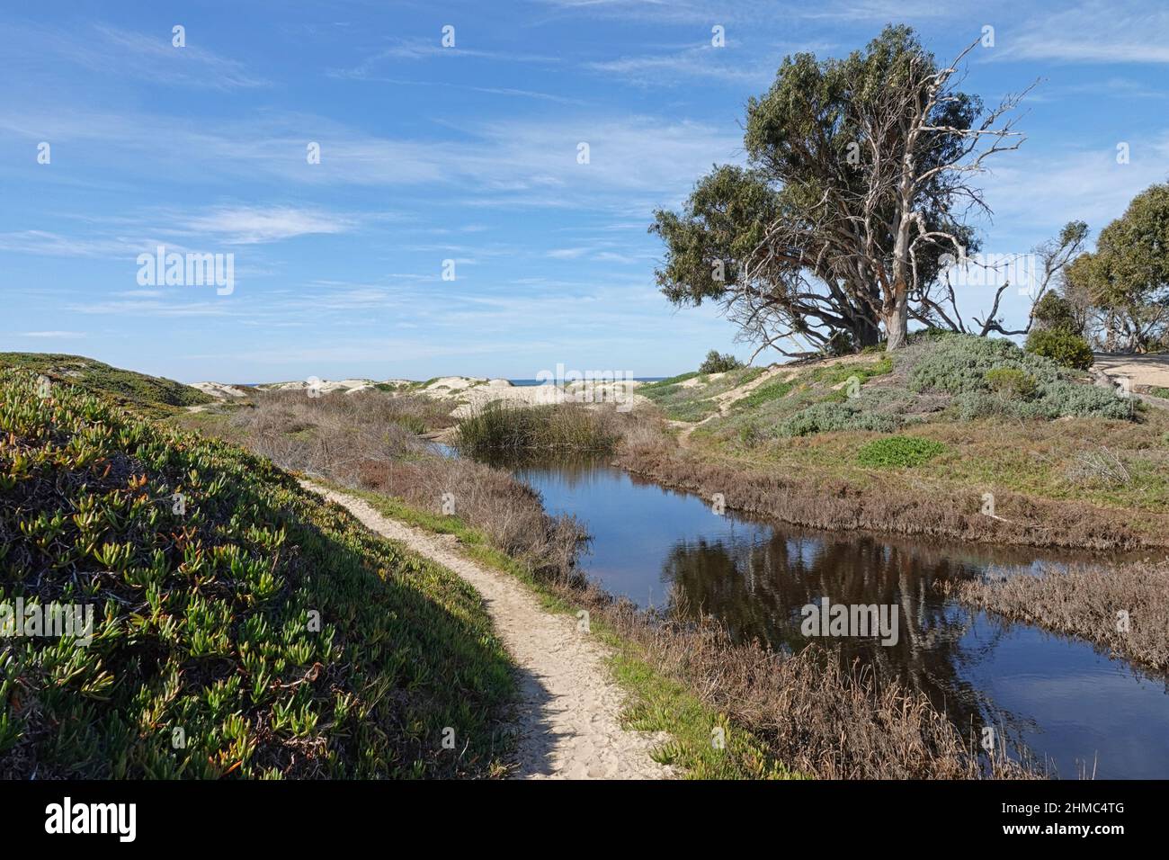 In Pismo Beach, California, sandy trails wind through dunes and alongside a creek that leads to the Pacific Ocean during a partly cloudy afternoon. Stock Photo