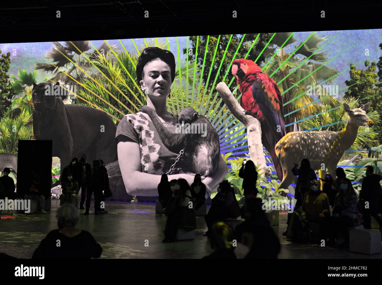 The immersive biography of Frida Kahlo the life of a myth at the IDEAL digital arts center in Barcelona, Catalonia, Spain Stock Photo