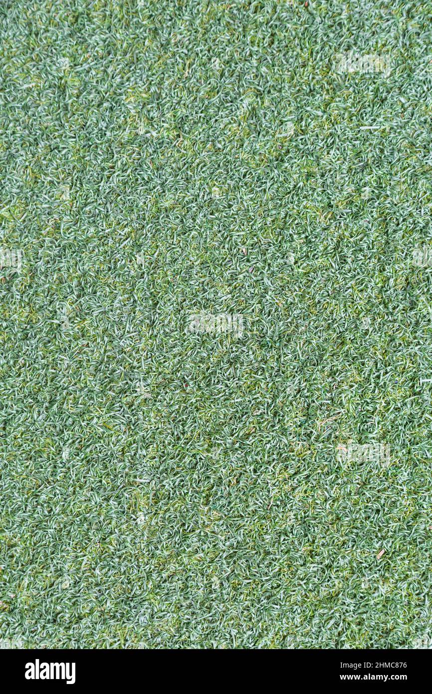 Green artificial grass texture background Stock Photo - Alamy