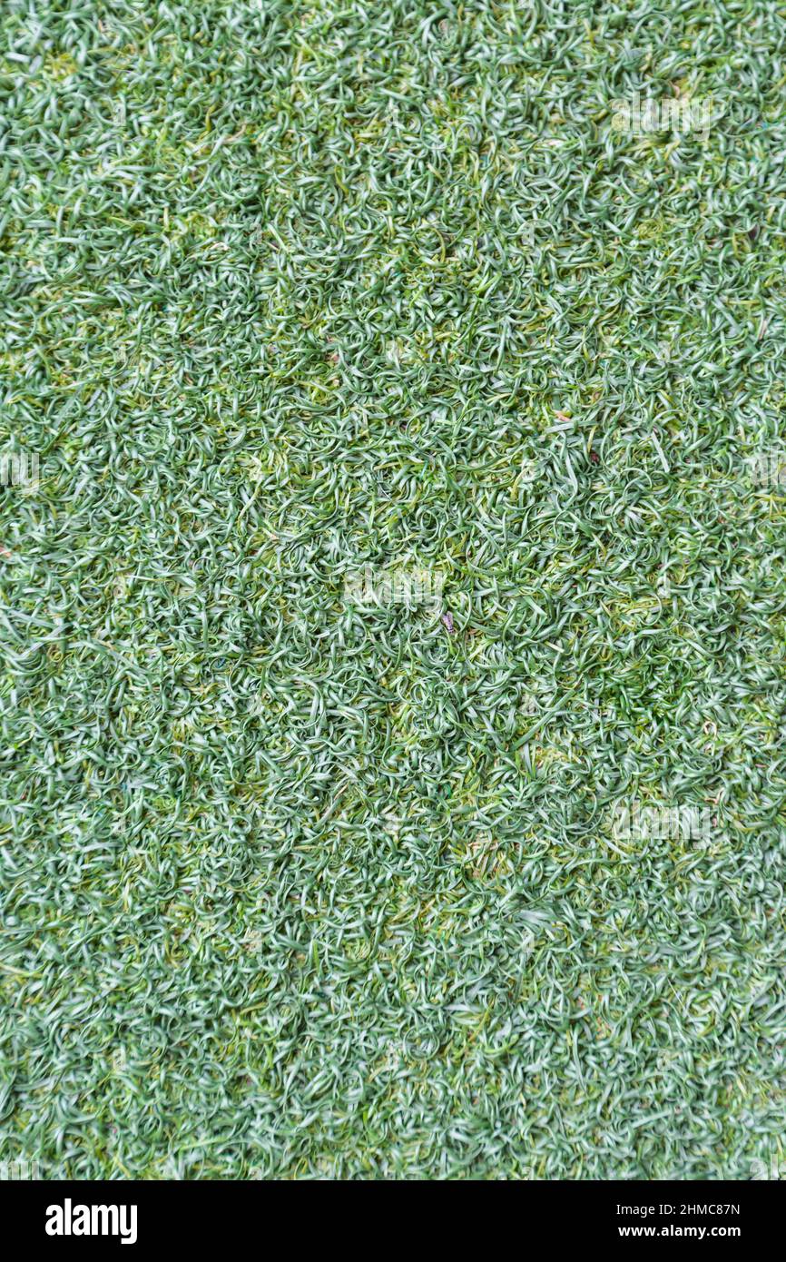 Green artificial grass texture background Stock Photo - Alamy