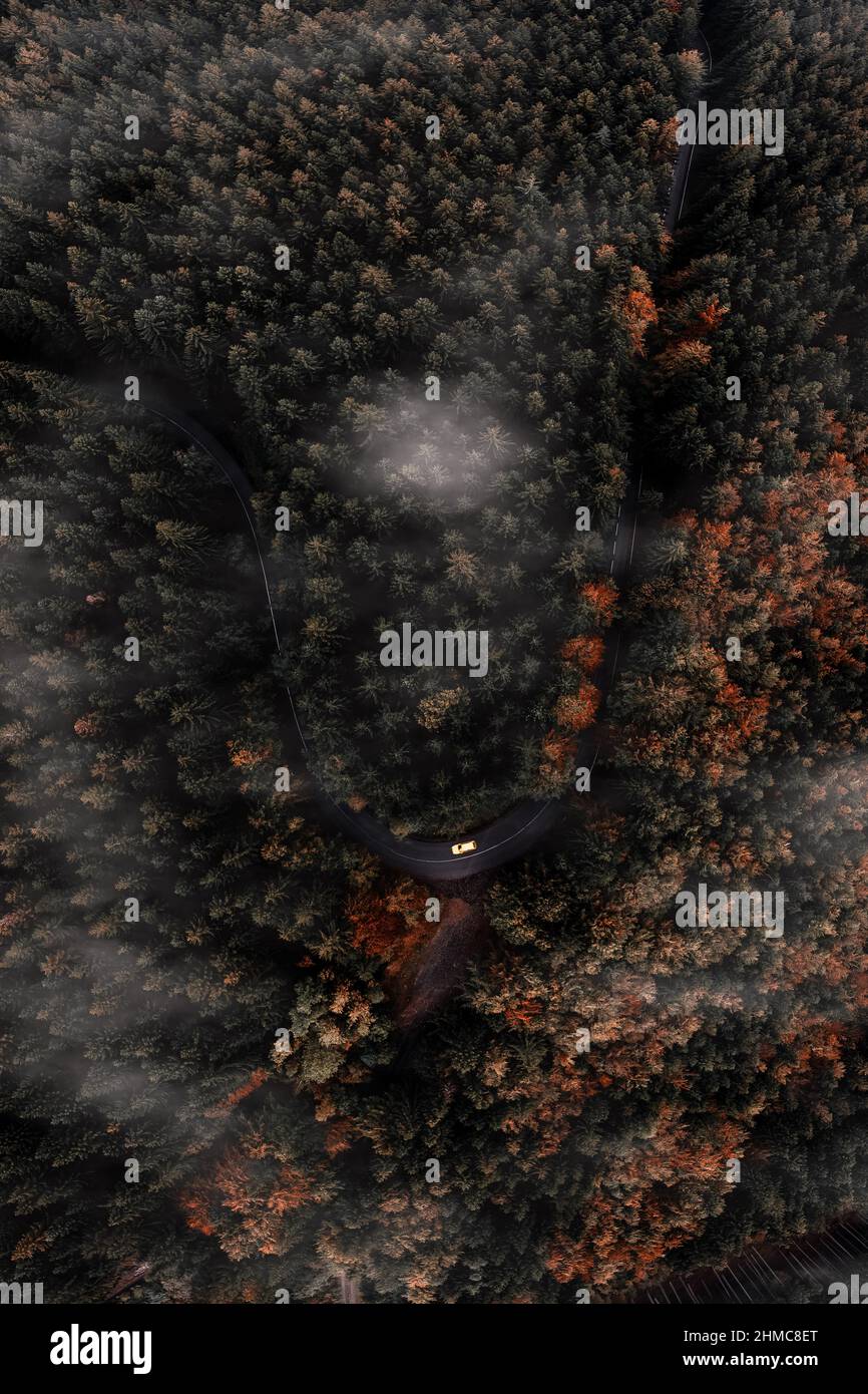 Aerial view of an autumnal forest on a foggy morning Stock Photo - Alamy