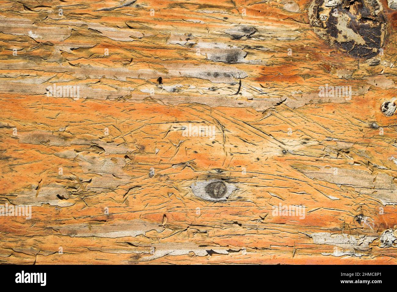 Brown wooden flaking cracks background. Damaged wood table peeling