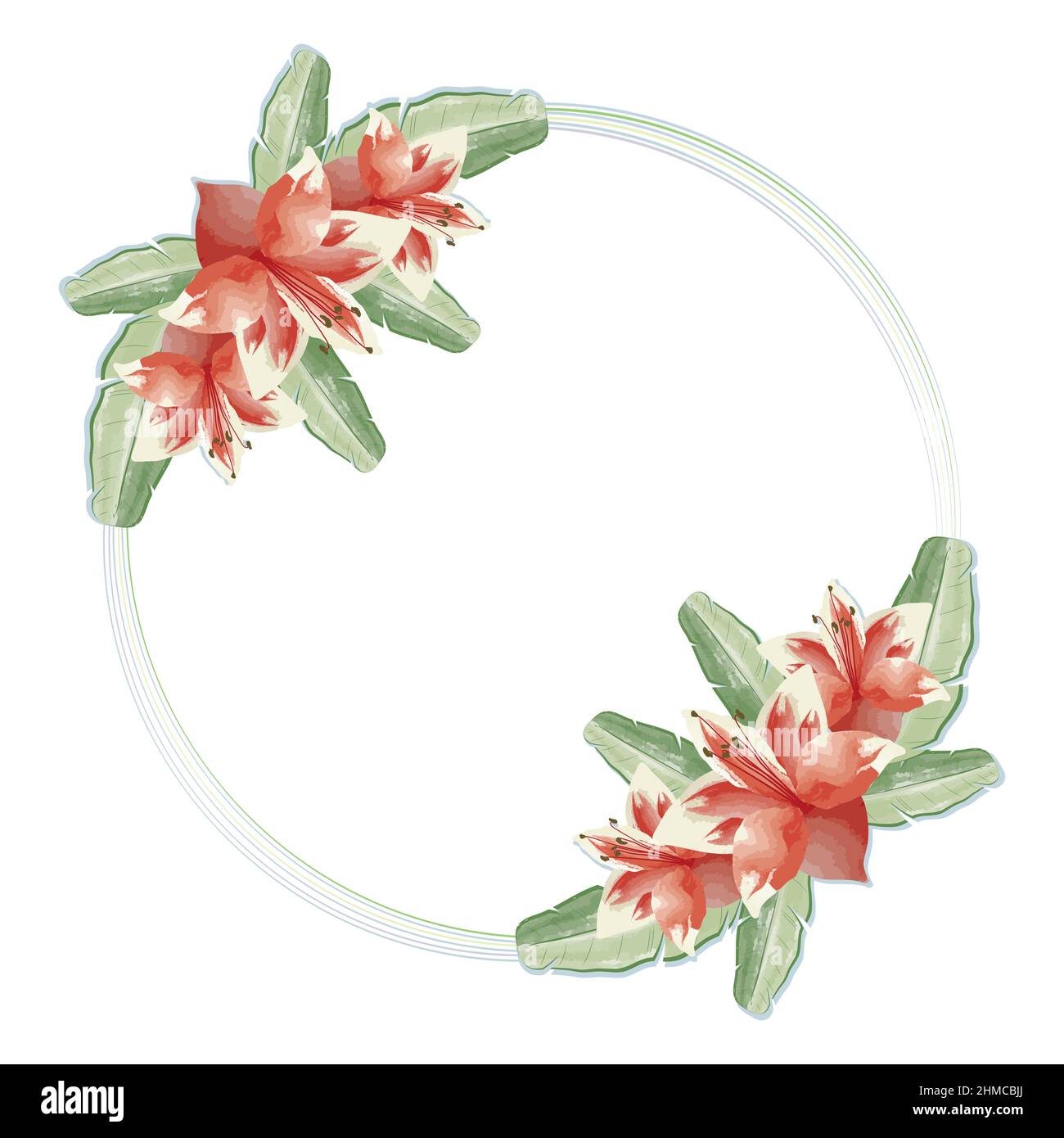 circular frame with flowers exotics Stock Vector Image & Art - Alamy