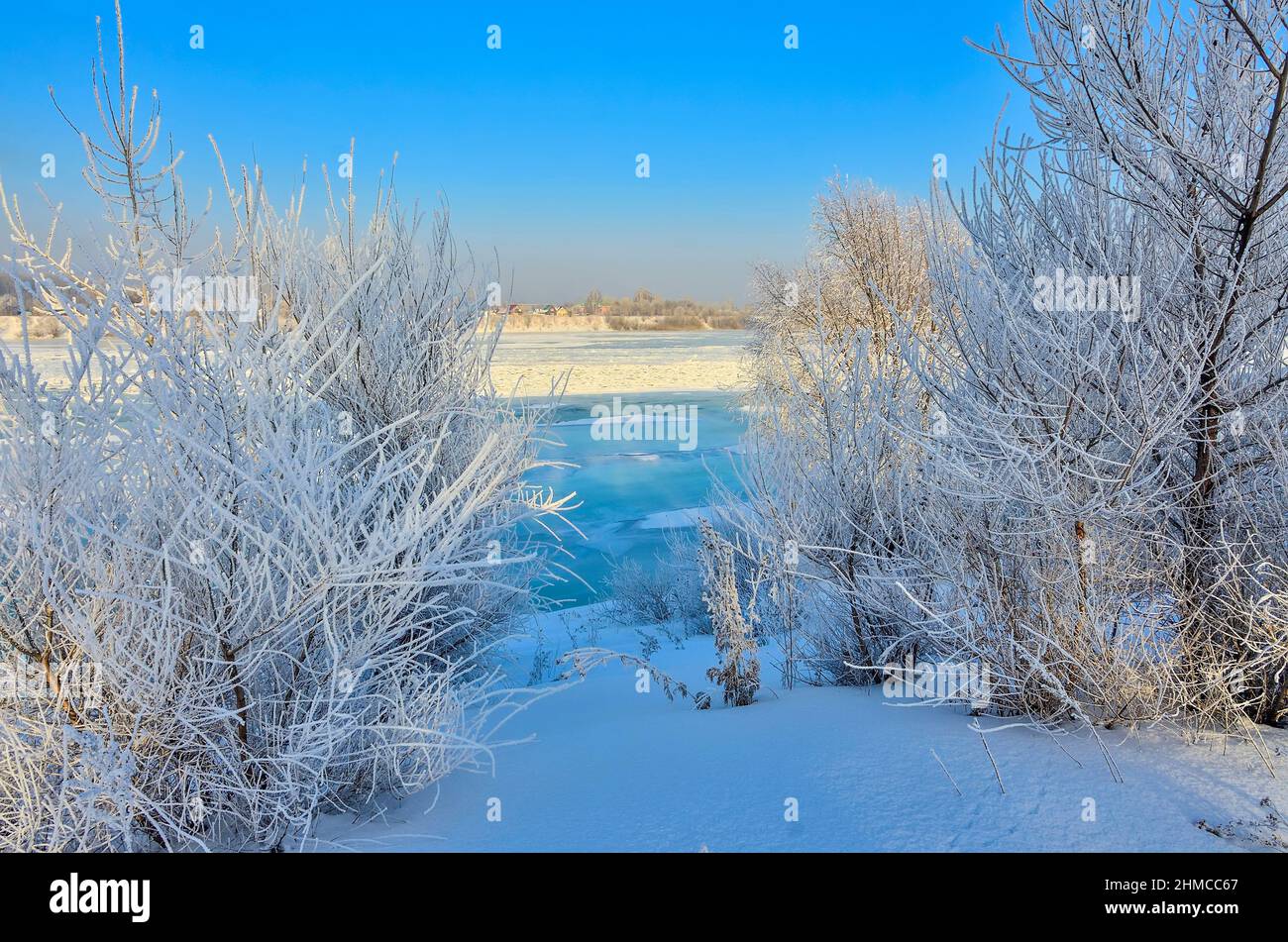 Winter walk on riverside, trees and bushes with fluffy hoarfrost covered, blue ice on the river and blue sunny sky. Fairy tale of wintertime, weather Stock Photo