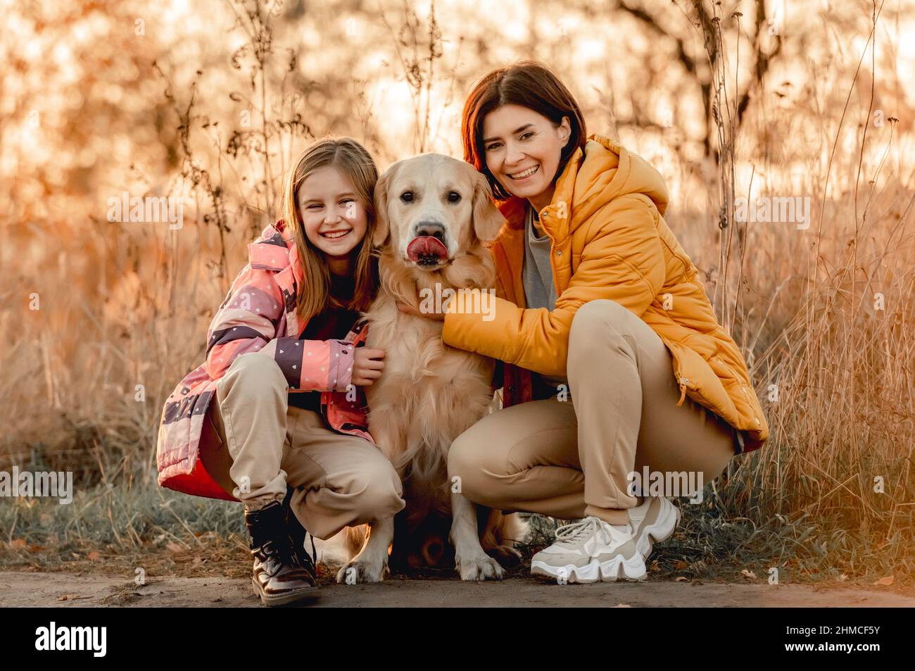 Girl with golden retriever dog Stock Photo - Alamy