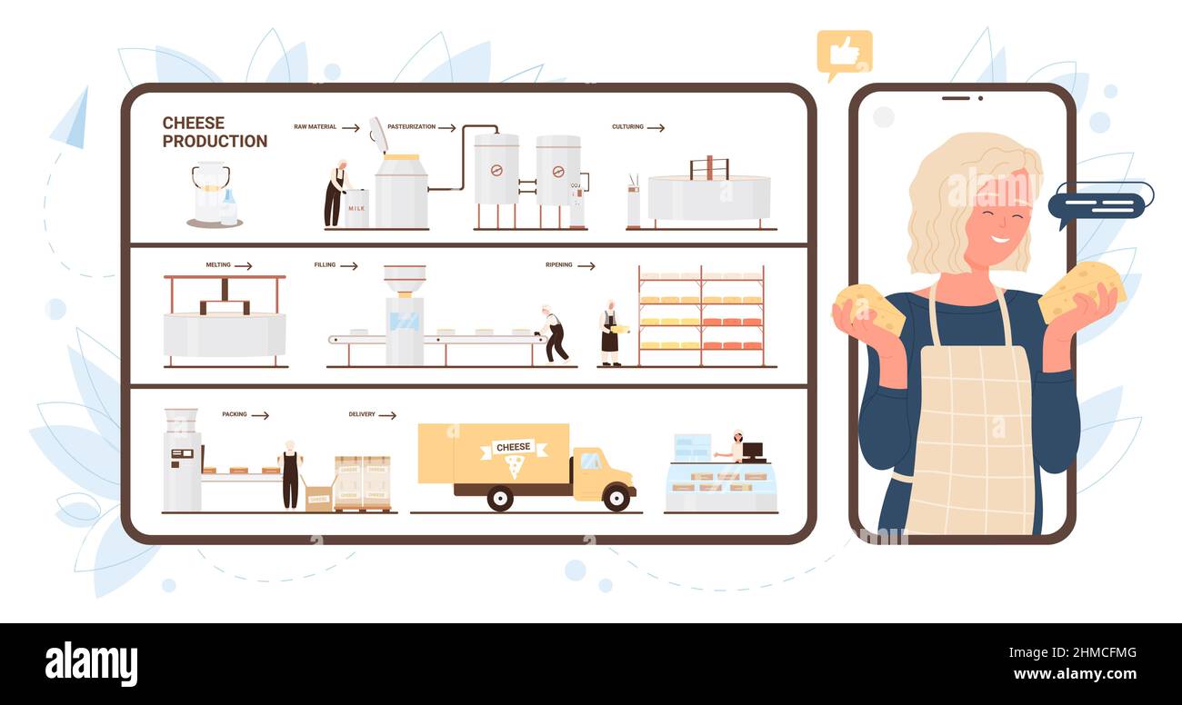 Process of cheese production in factory, infographic vector