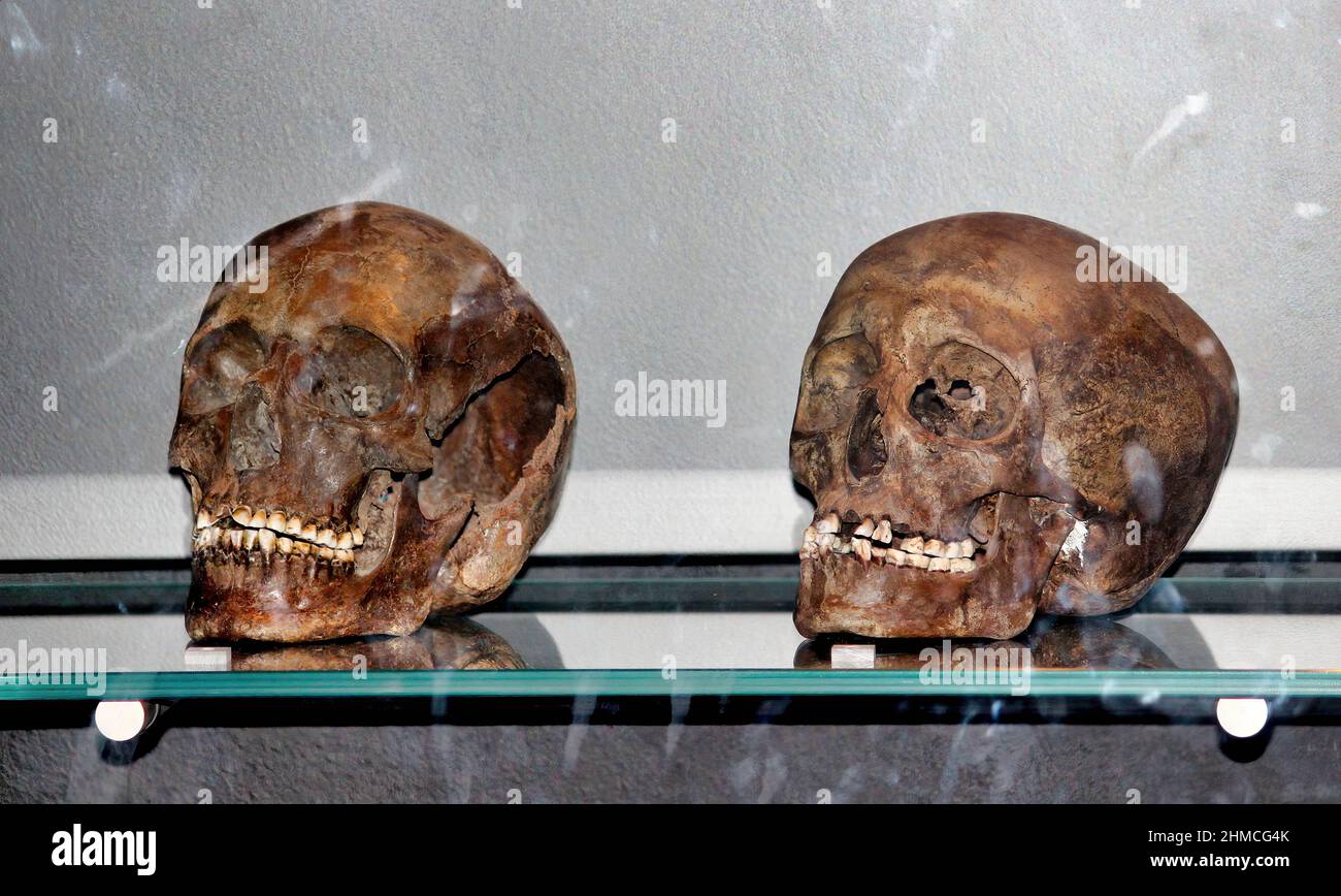 Skulls of Viking warriors National Museum of Denmark (Nationalmuseet) Stock Photo